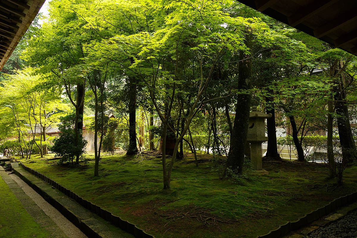 京都　（龍安寺、仁和寺）_a0003166_072466.jpg
