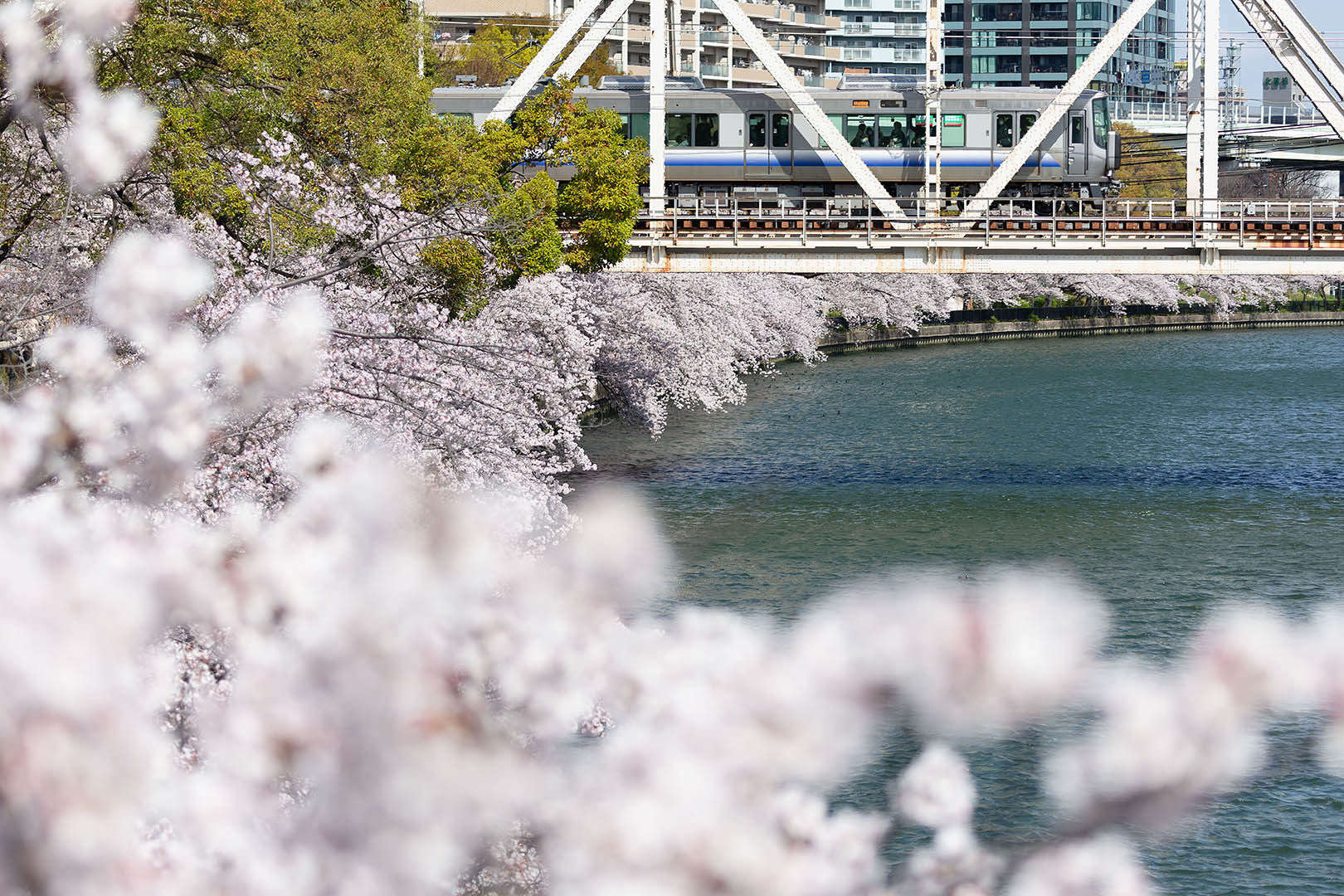 桜ノ宮_a0003166_07500594.jpg