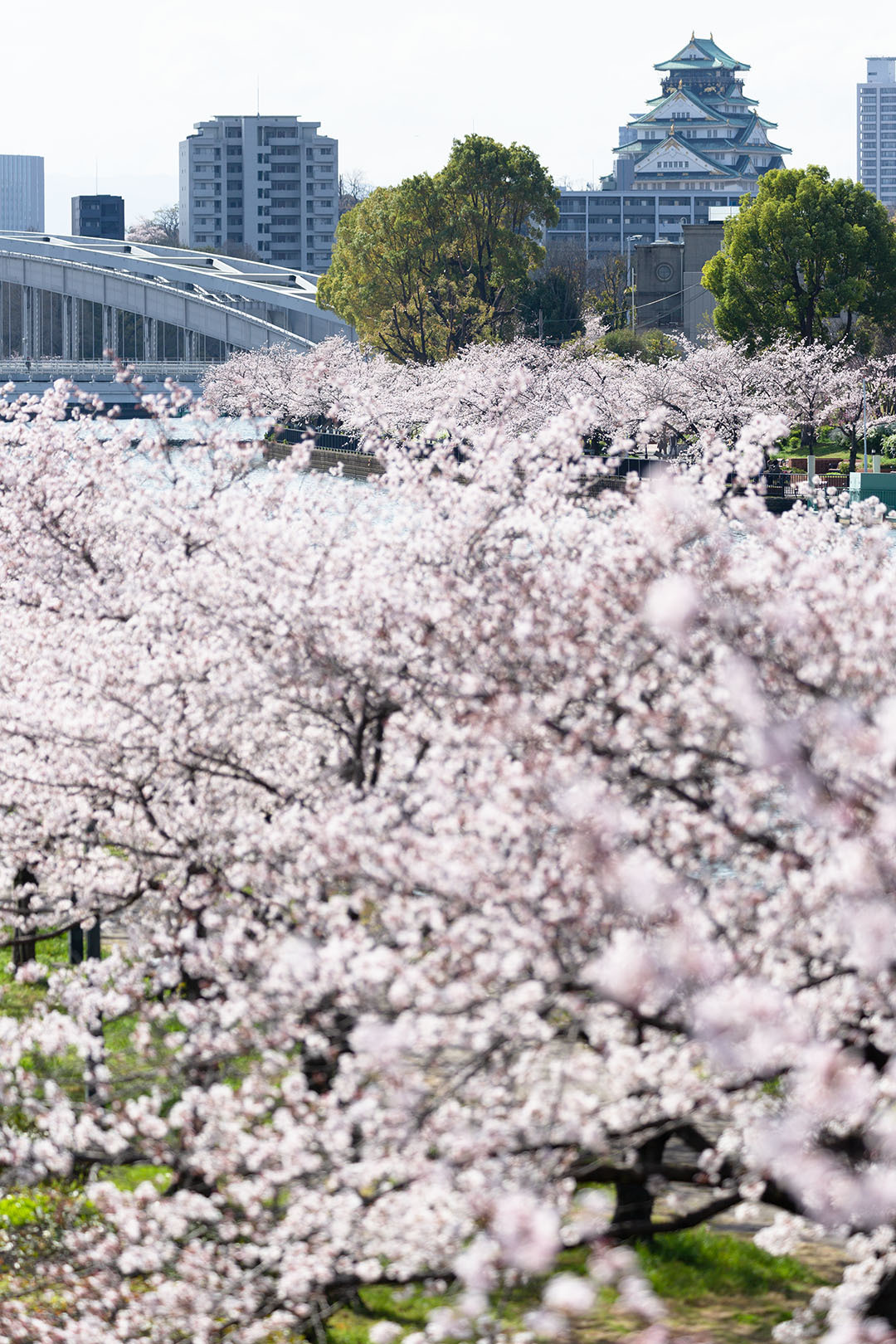 桜ノ宮_a0003166_07501067.jpg