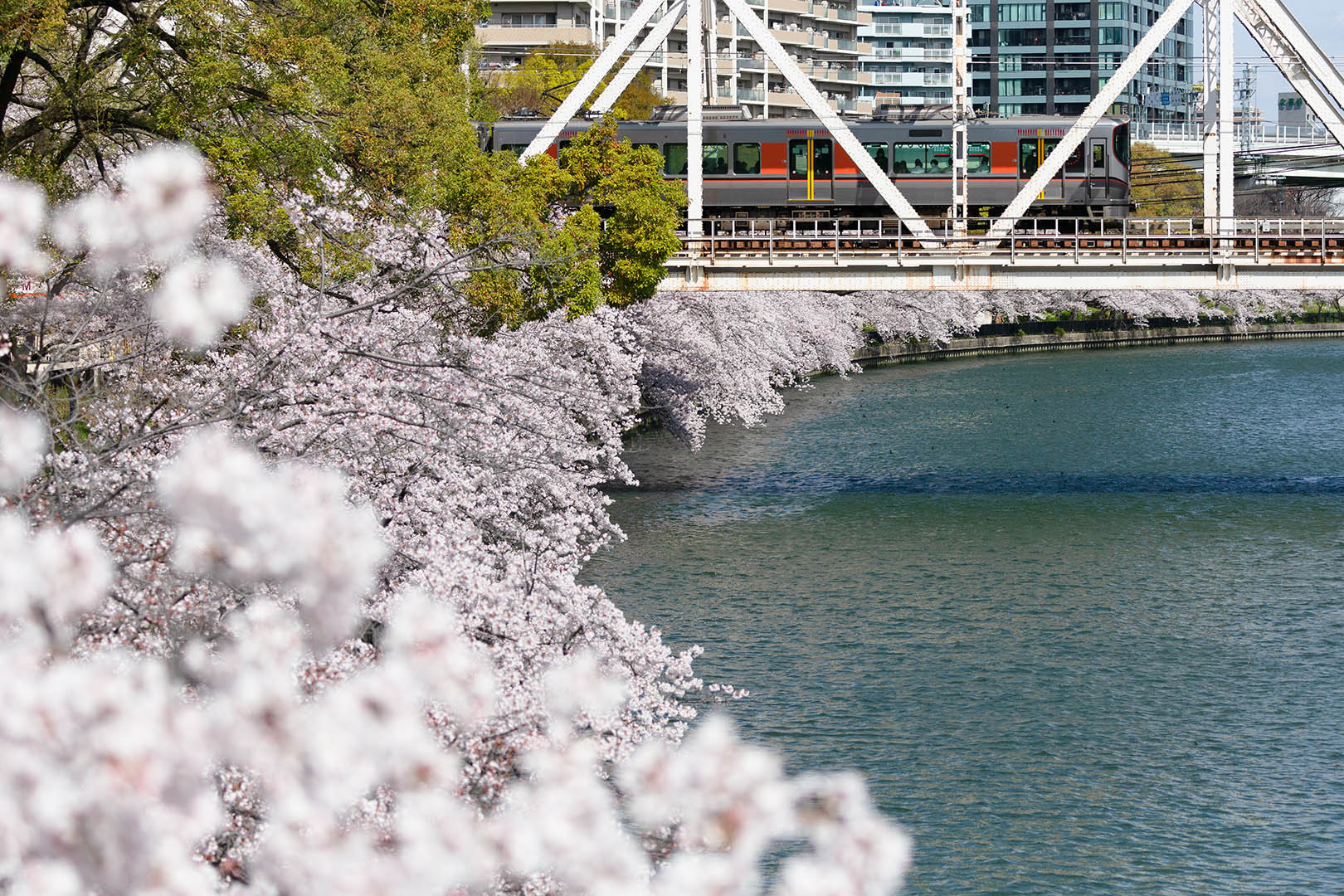 桜ノ宮_a0003166_07501770.jpg