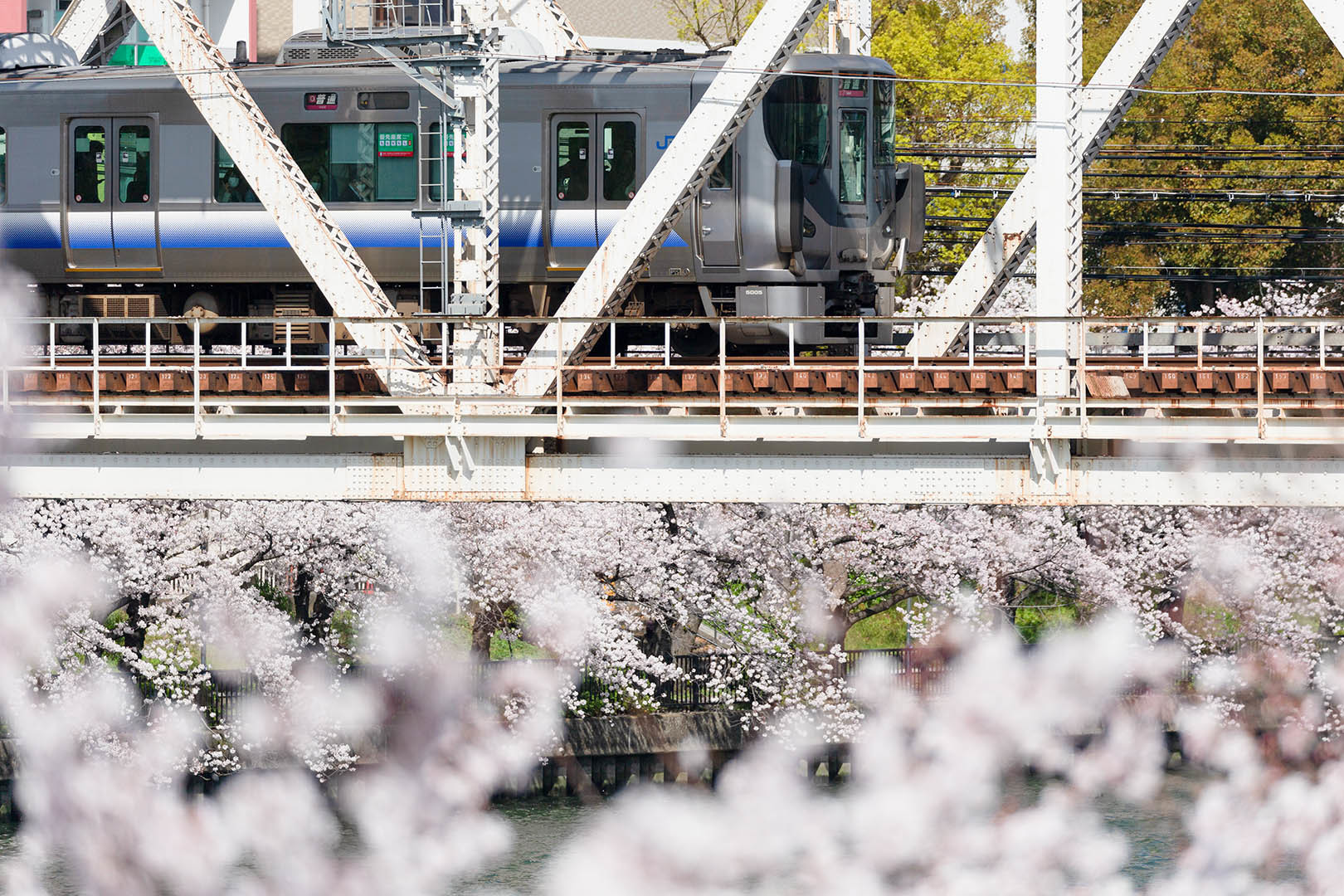 桜ノ宮_a0003166_07502347.jpg