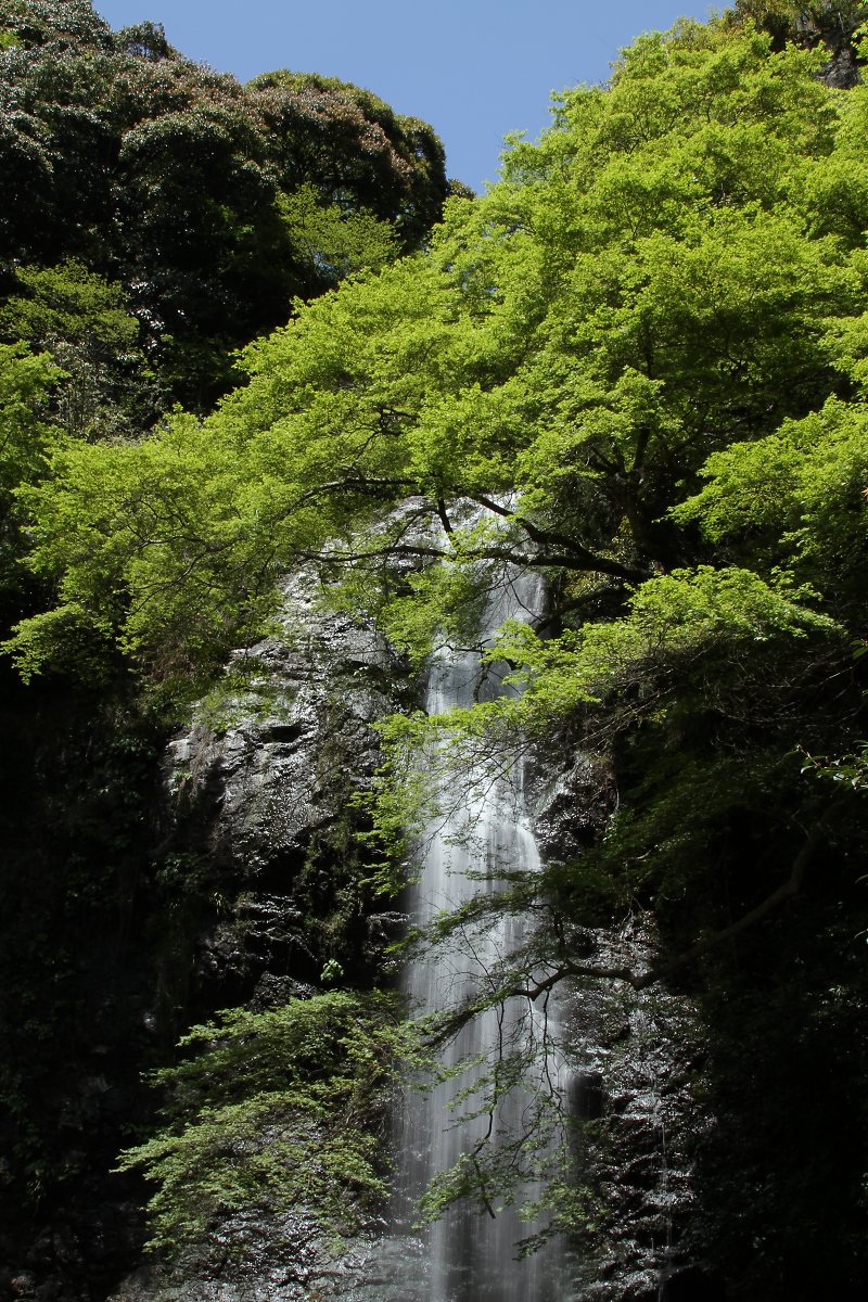 滝_a0003166_082712.jpg