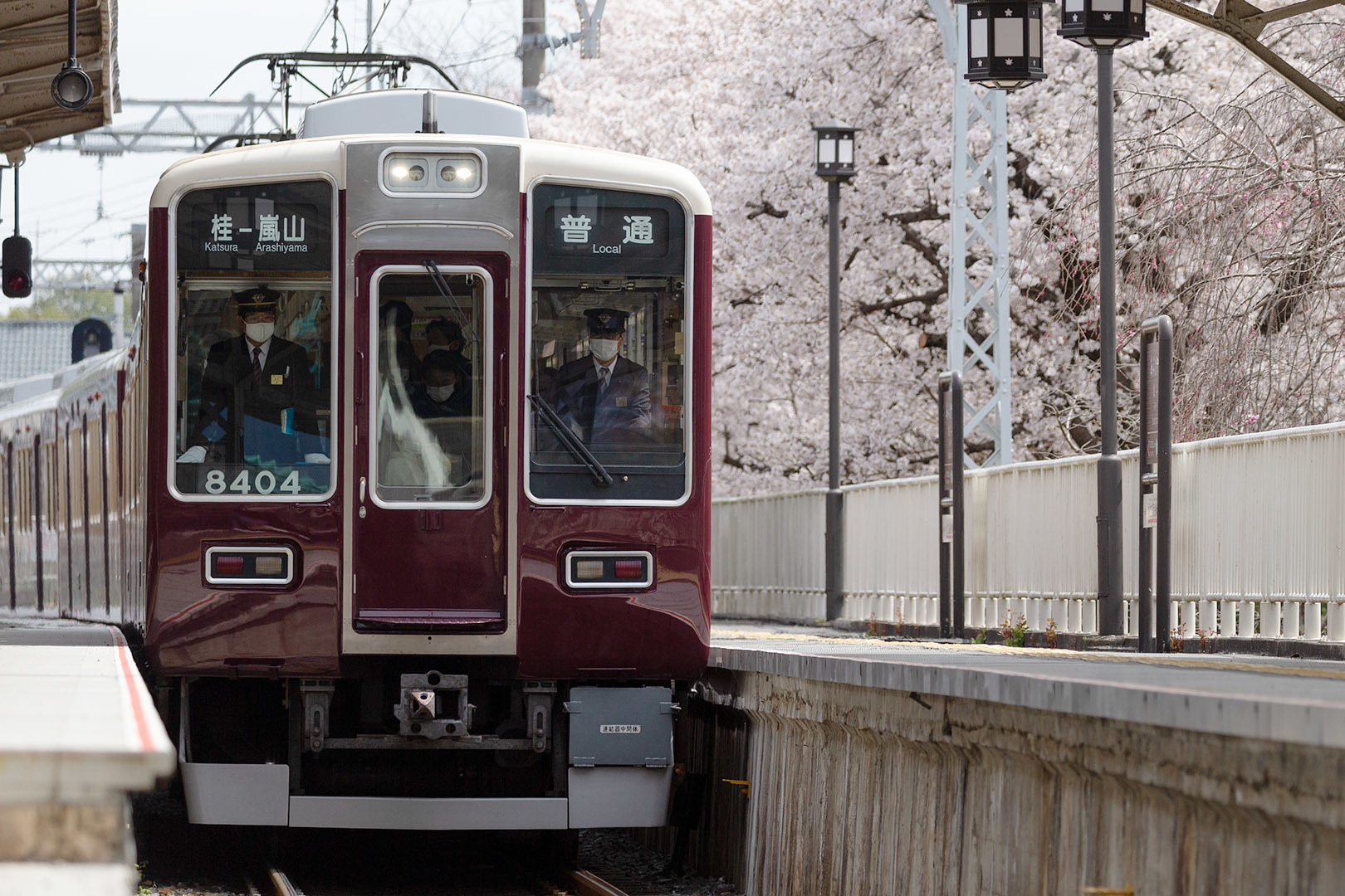 阪急嵐山駅 桜_a0003166_09092314.jpg