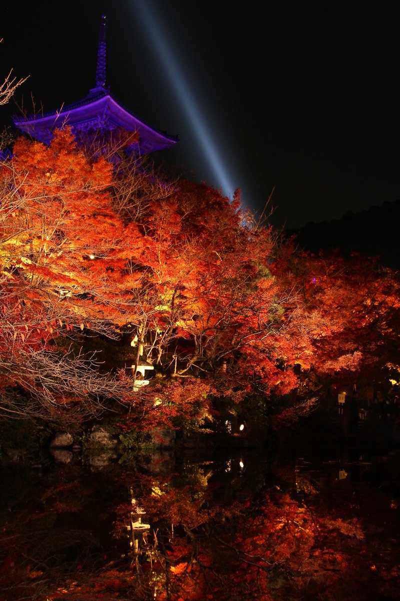 清水寺 ライトアップ_a0003166_09161.jpg