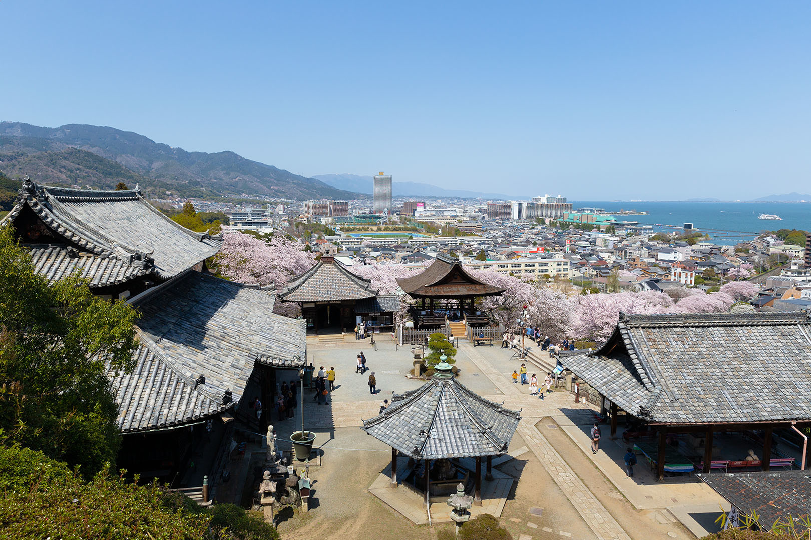 三井寺 桜_a0003166_09291775.jpg