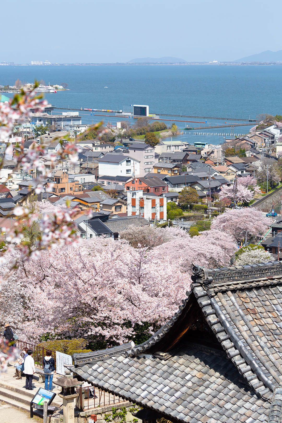 三井寺 桜_a0003166_09291787.jpg