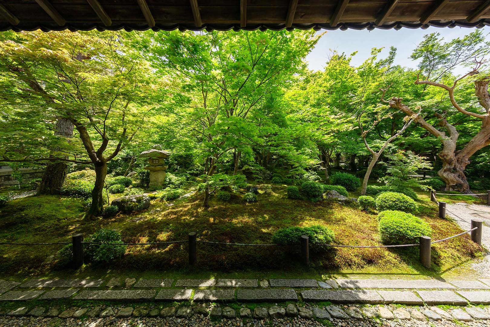 圓光寺_a0003166_10044060.jpg