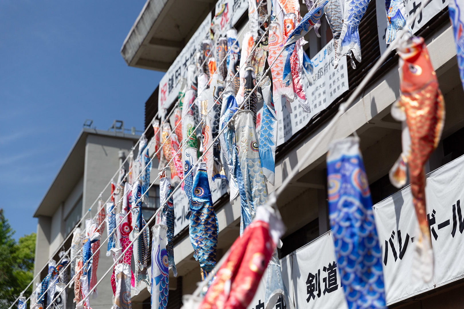 南禅寺_a0003166_10070949.jpg