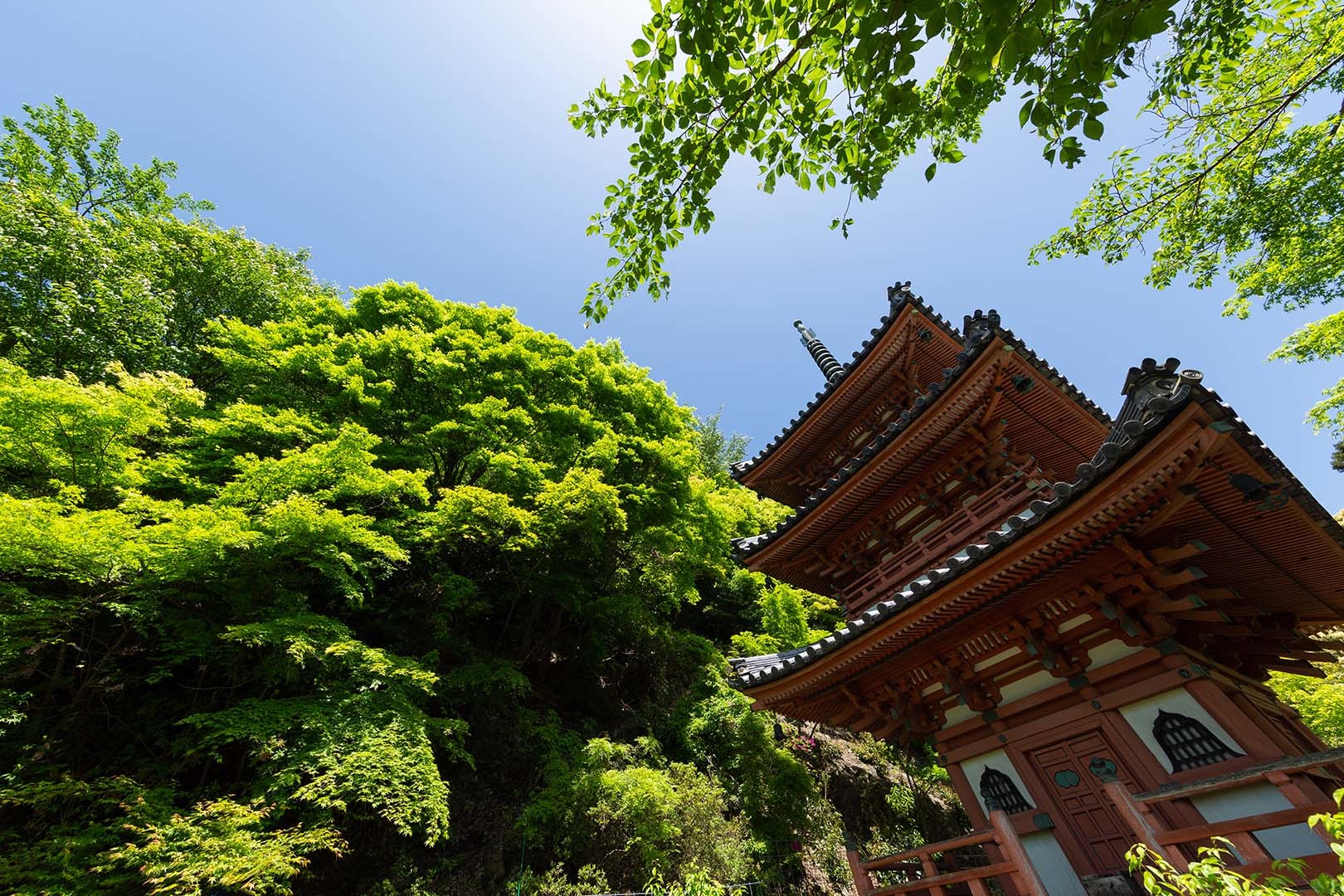 三室戸寺_a0003166_10093672.jpg