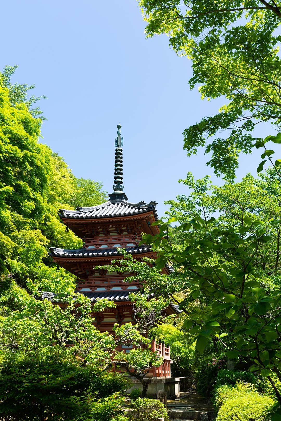 三室戸寺_a0003166_10093684.jpg
