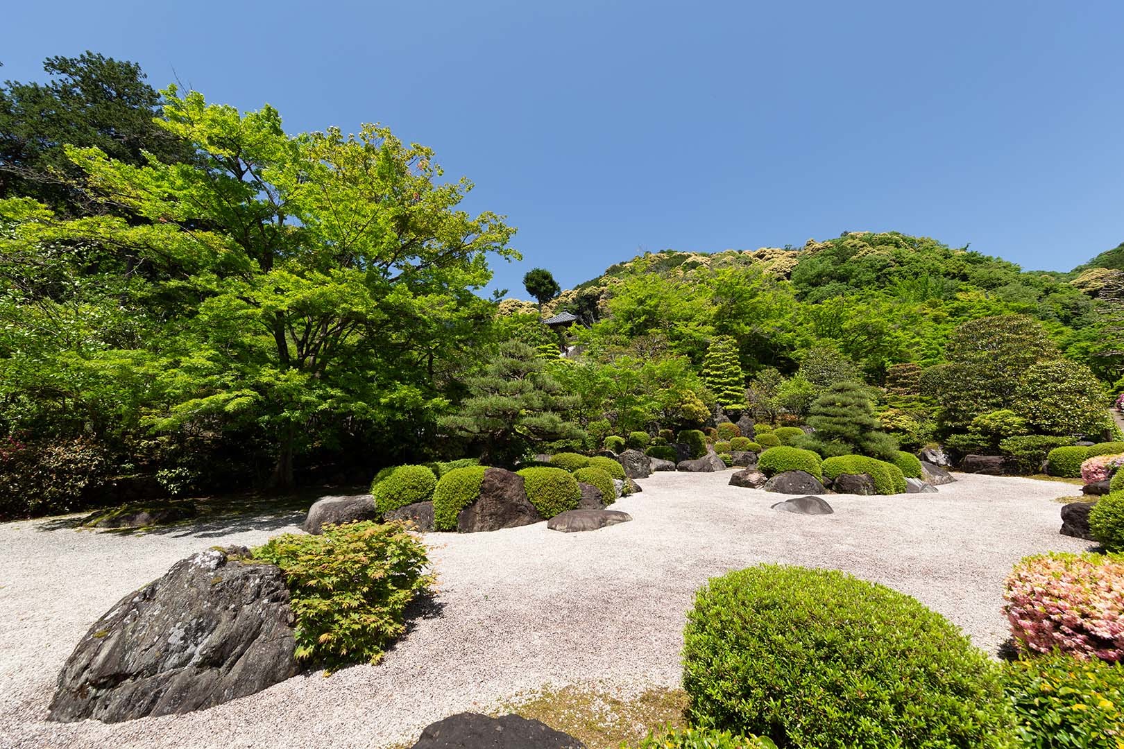 三室戸寺_a0003166_10093742.jpg