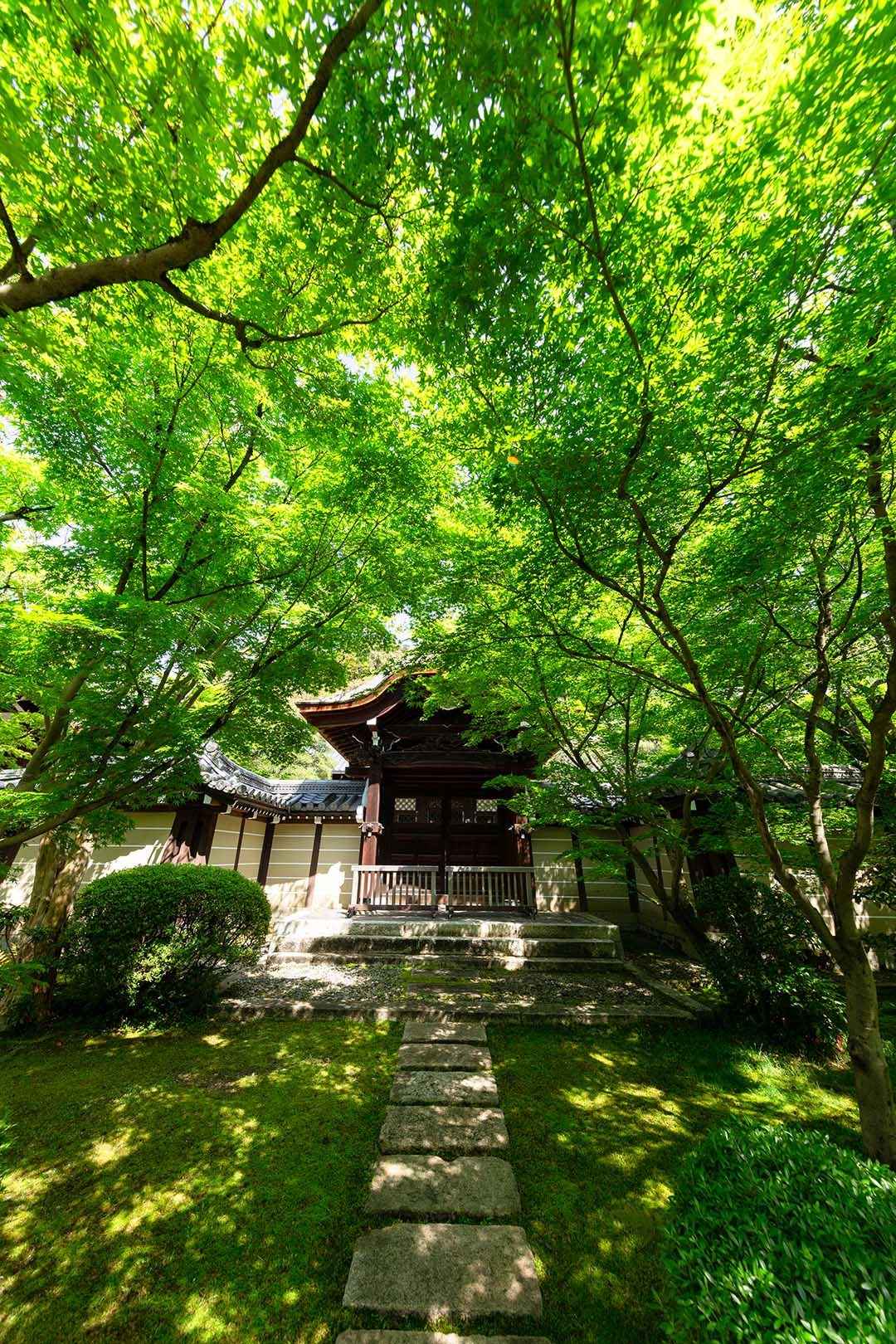 永観堂_a0003166_10101485.jpg