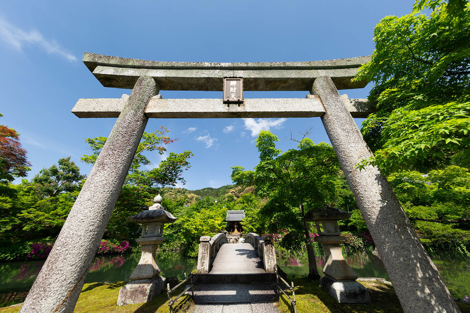 永観堂_a0003166_10101535.jpg