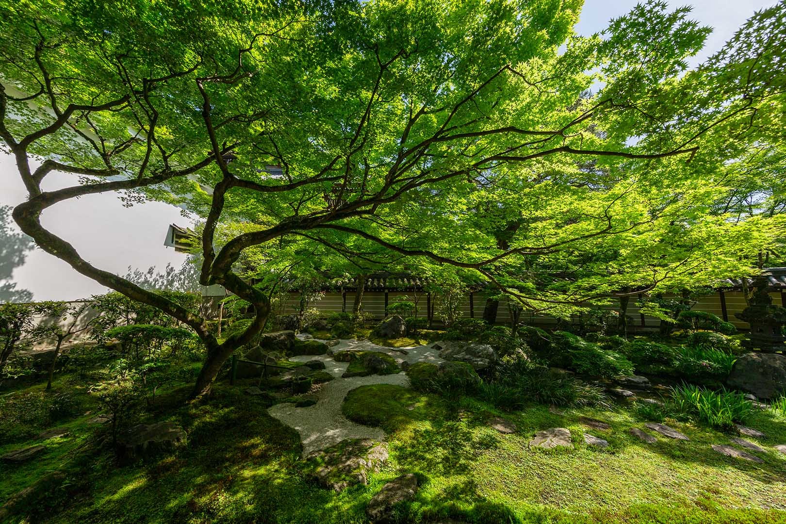 永観堂_a0003166_10101541.jpg