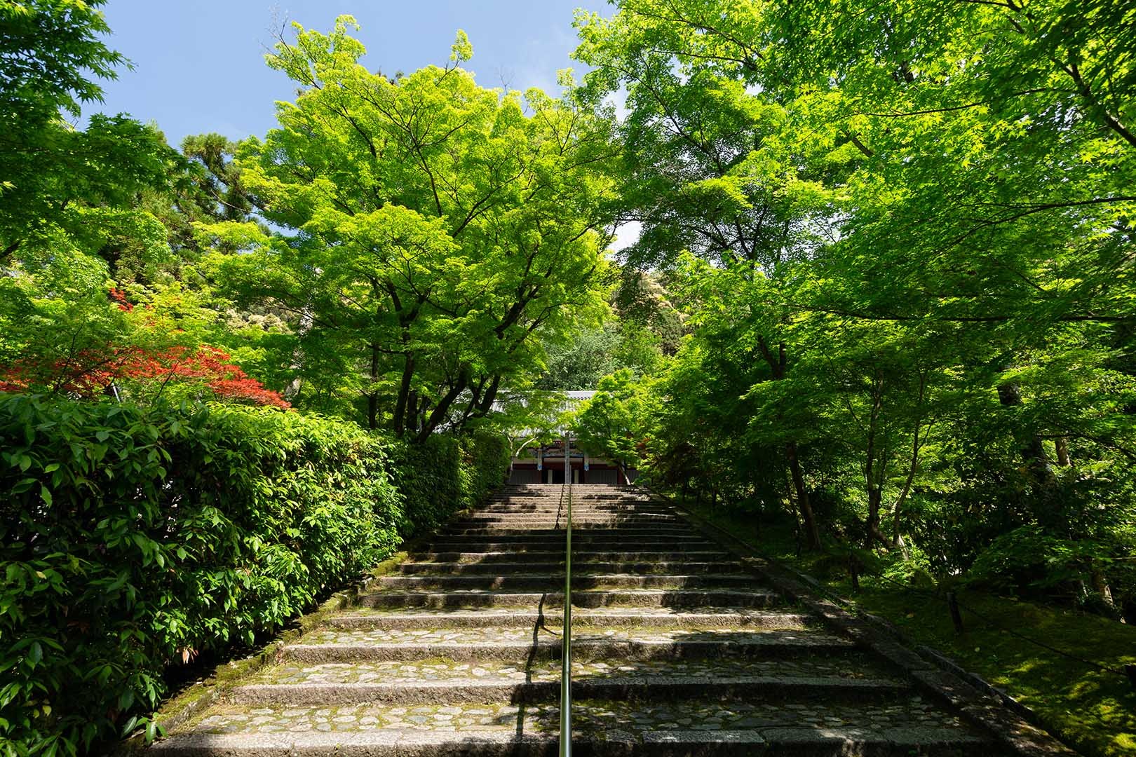 永観堂_a0003166_10101597.jpg