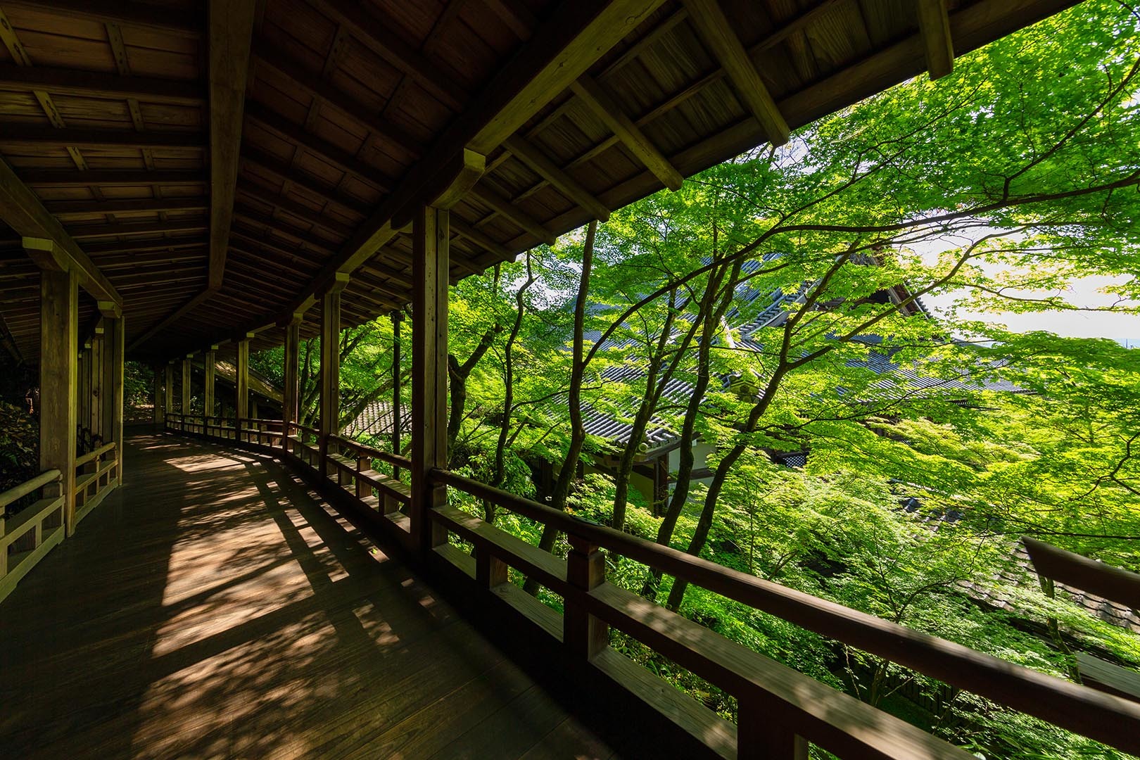 永観堂_a0003166_10101654.jpg