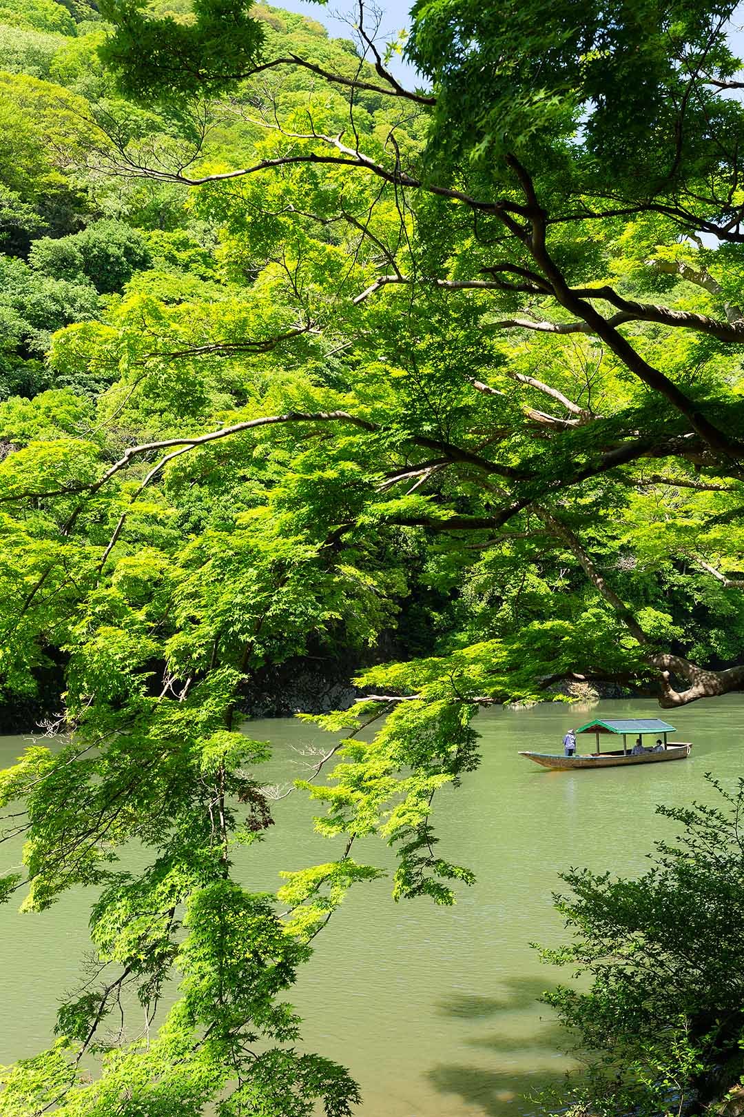 嵐山 新緑_a0003166_10110339.jpg