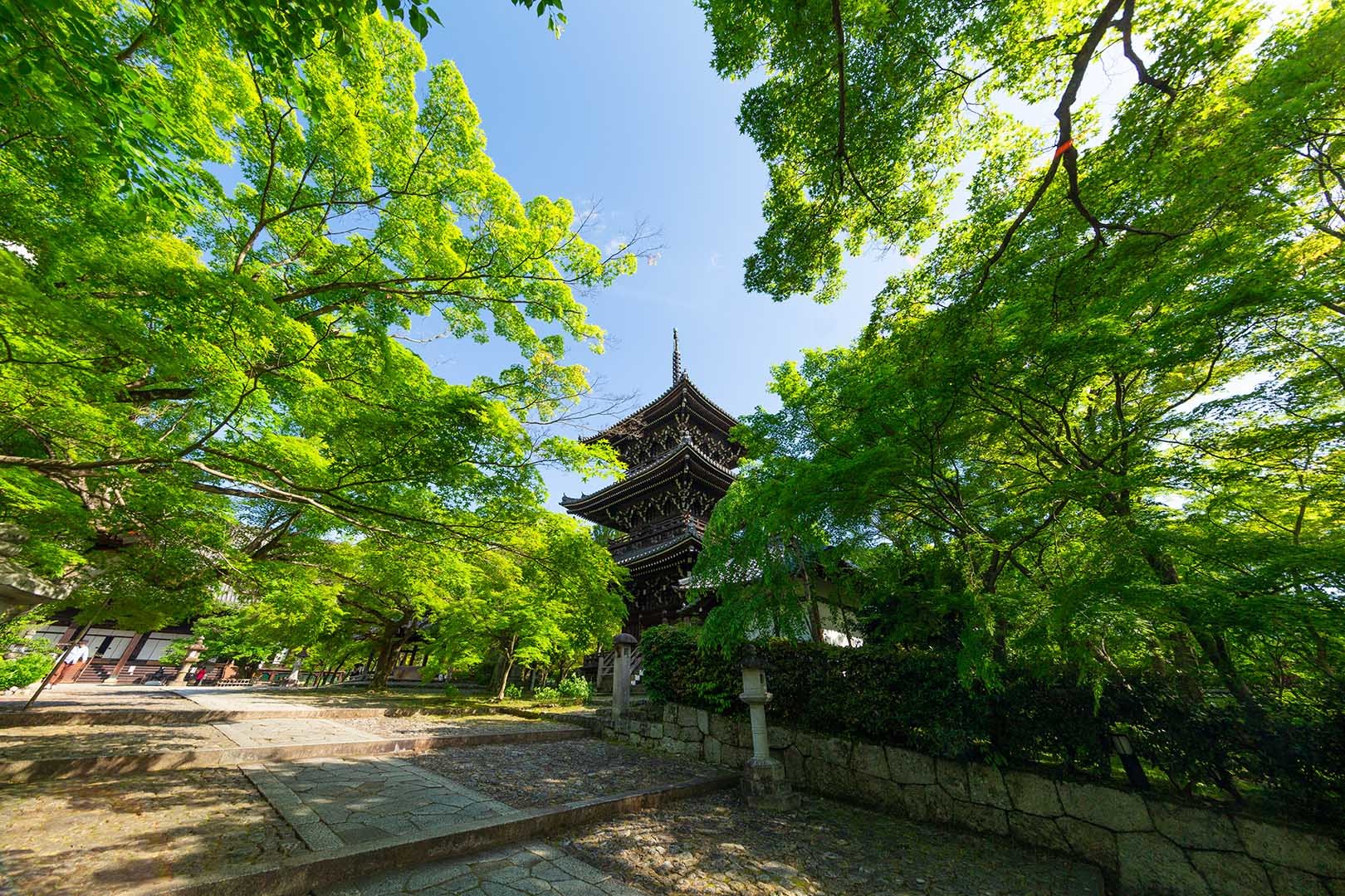 真如堂_a0003166_10112044.jpg