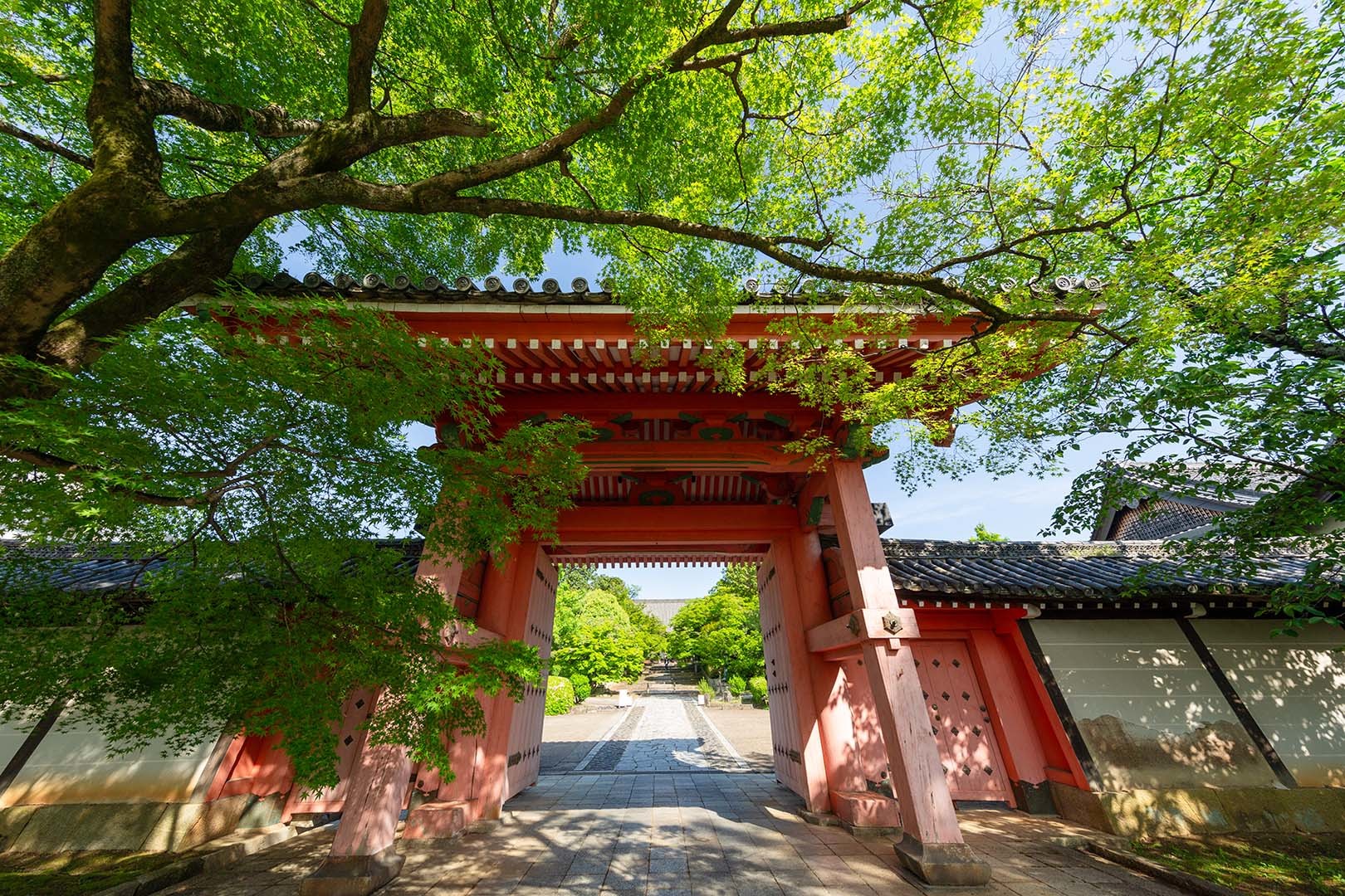 真如堂_a0003166_10112064.jpg