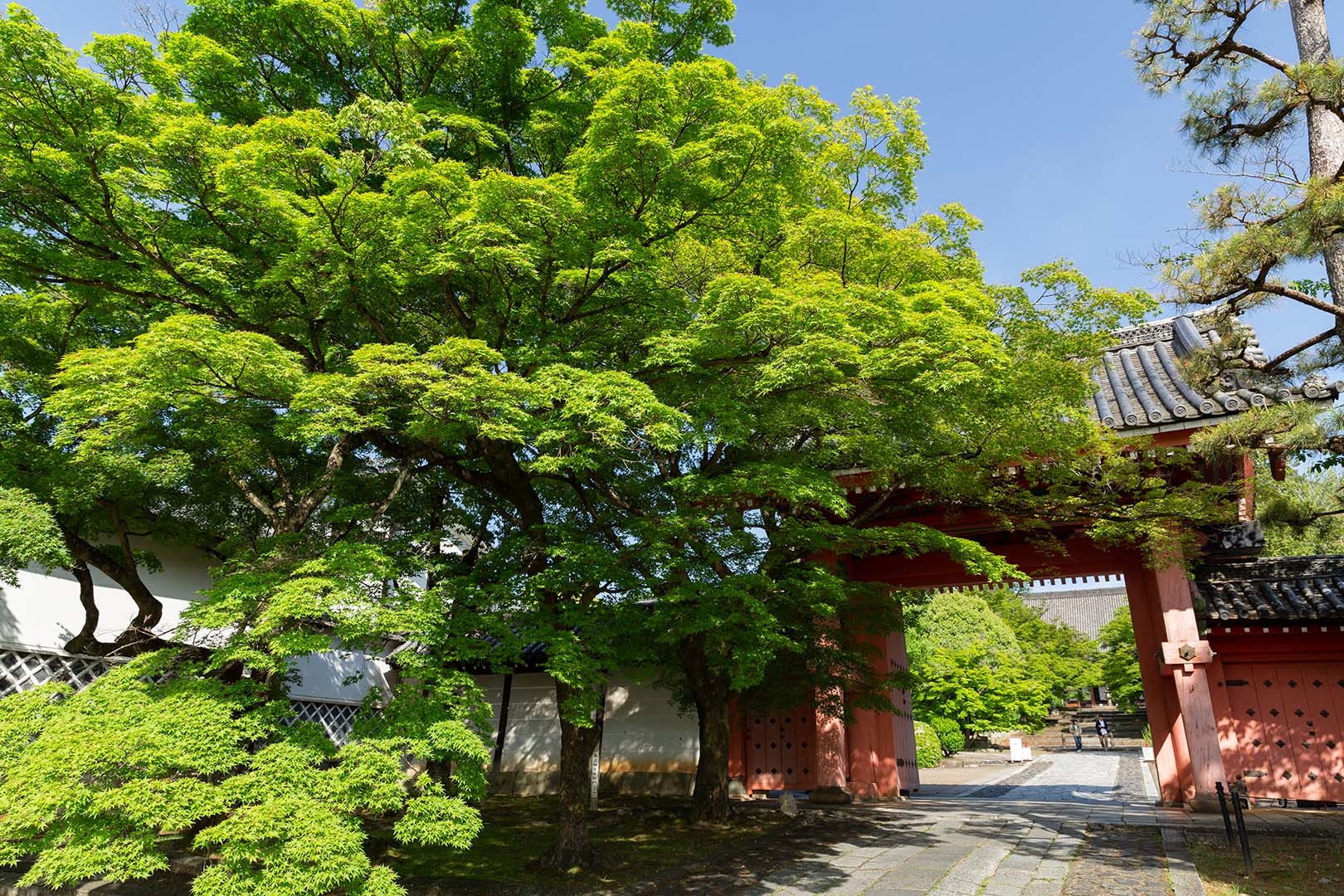 真如堂_a0003166_10112117.jpg