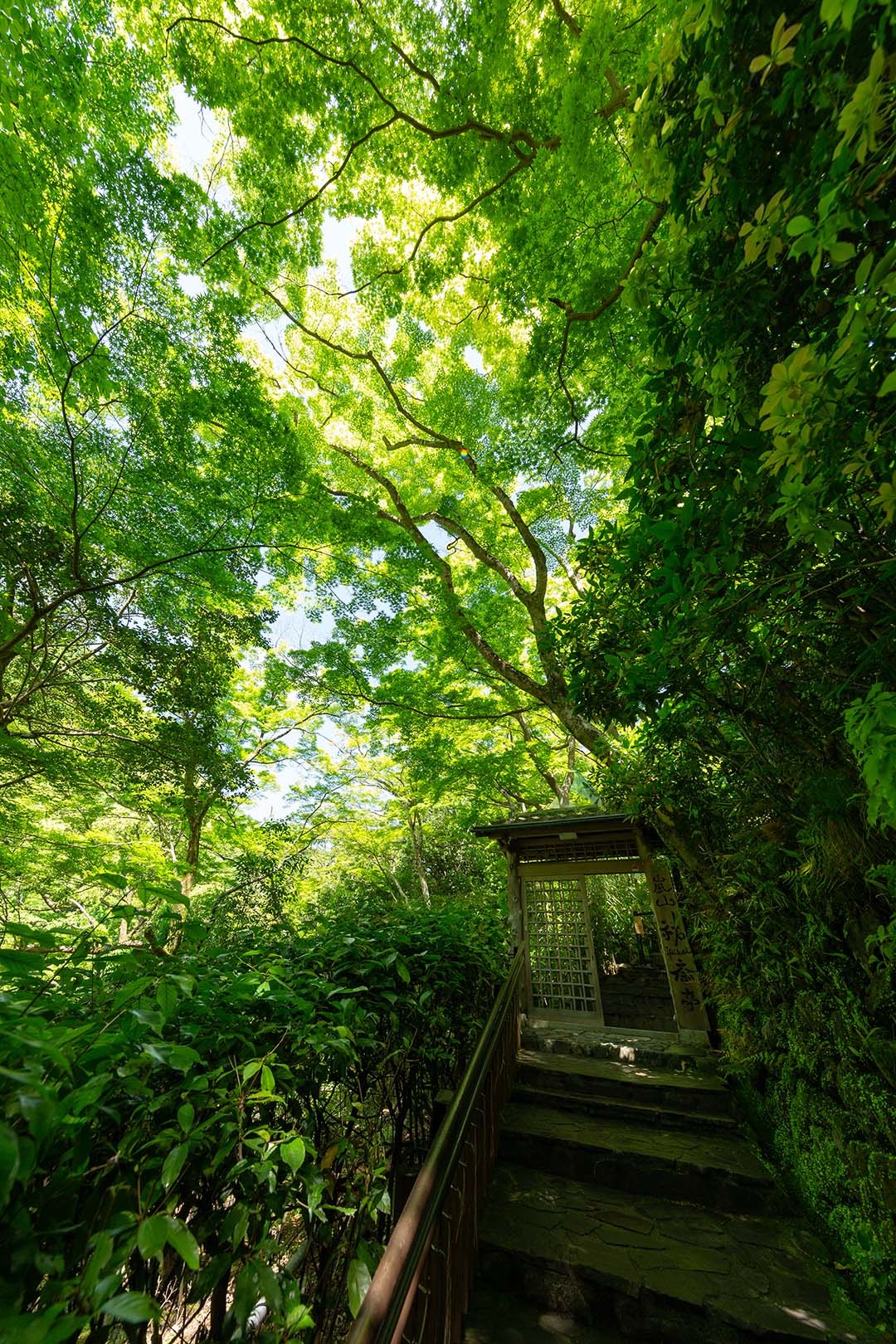 嵐山 祐斎亭 その２_a0003166_10150100.jpg