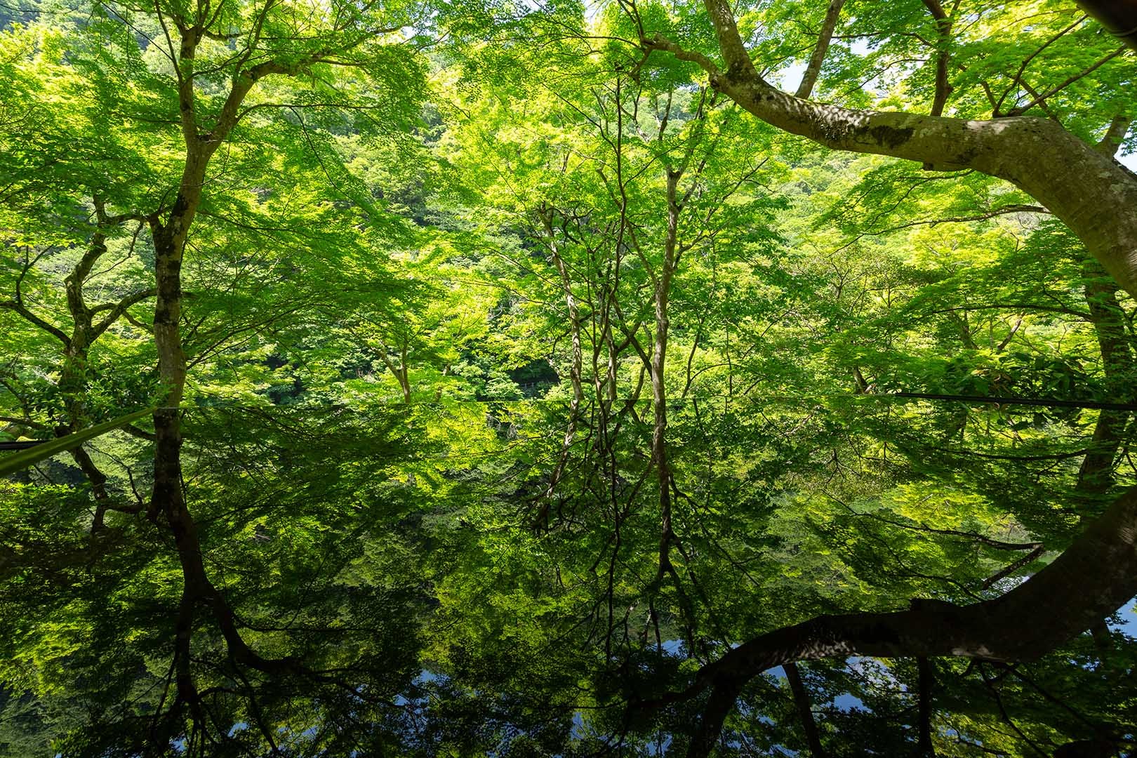 嵐山 祐斎亭 その２_a0003166_10150193.jpg