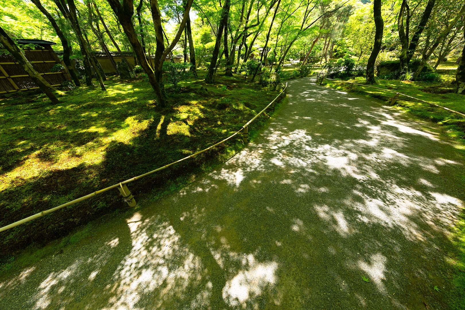 宝厳院_a0003166_10163763.jpg