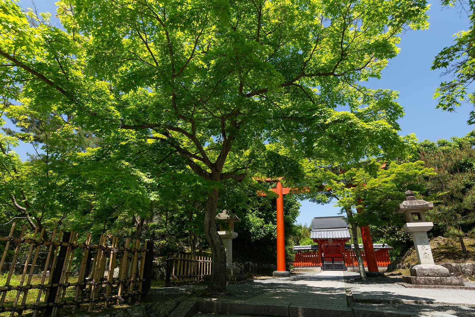 天龍寺_a0003166_10172372.jpg