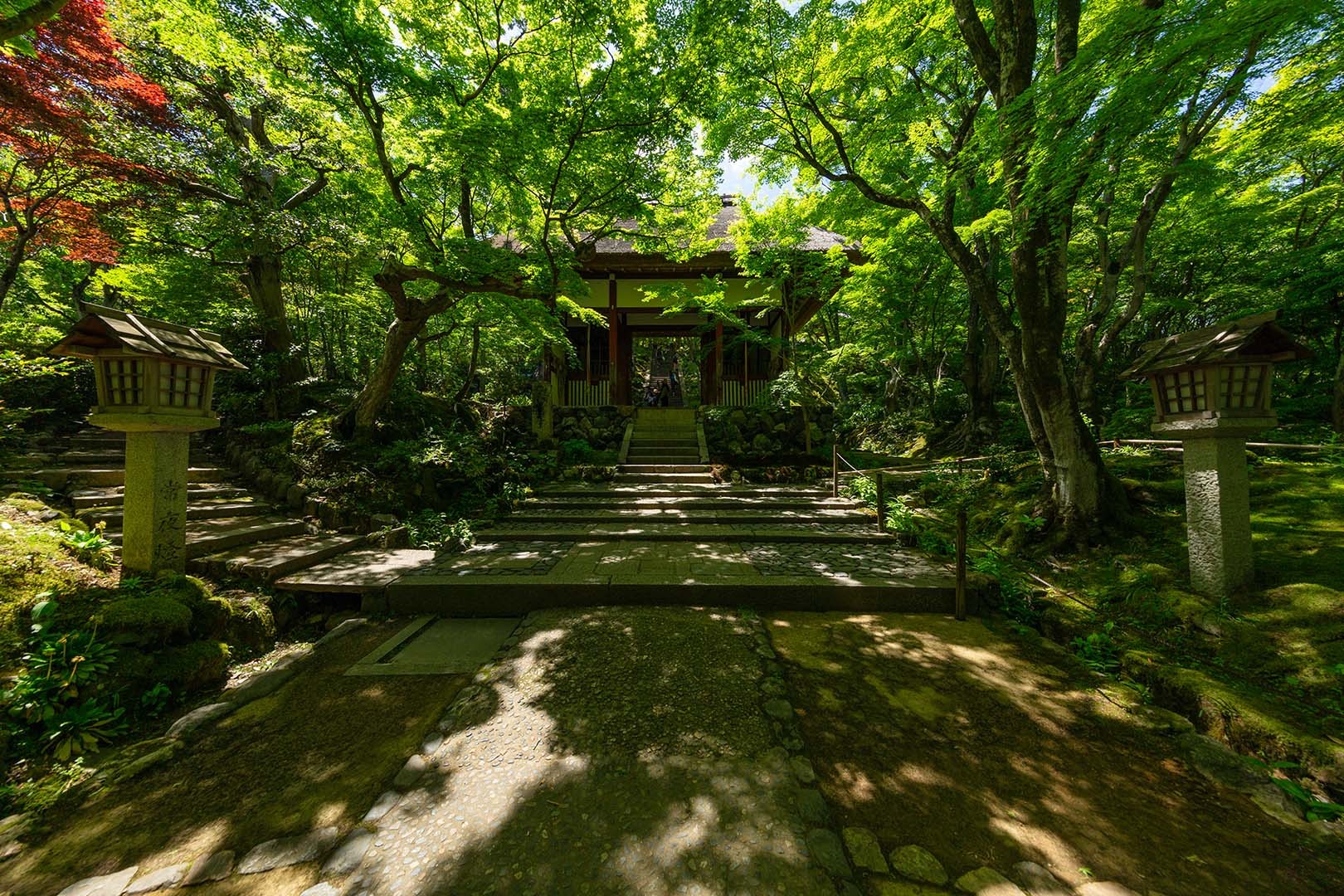 常寂光寺 その１_a0003166_10182497.jpg