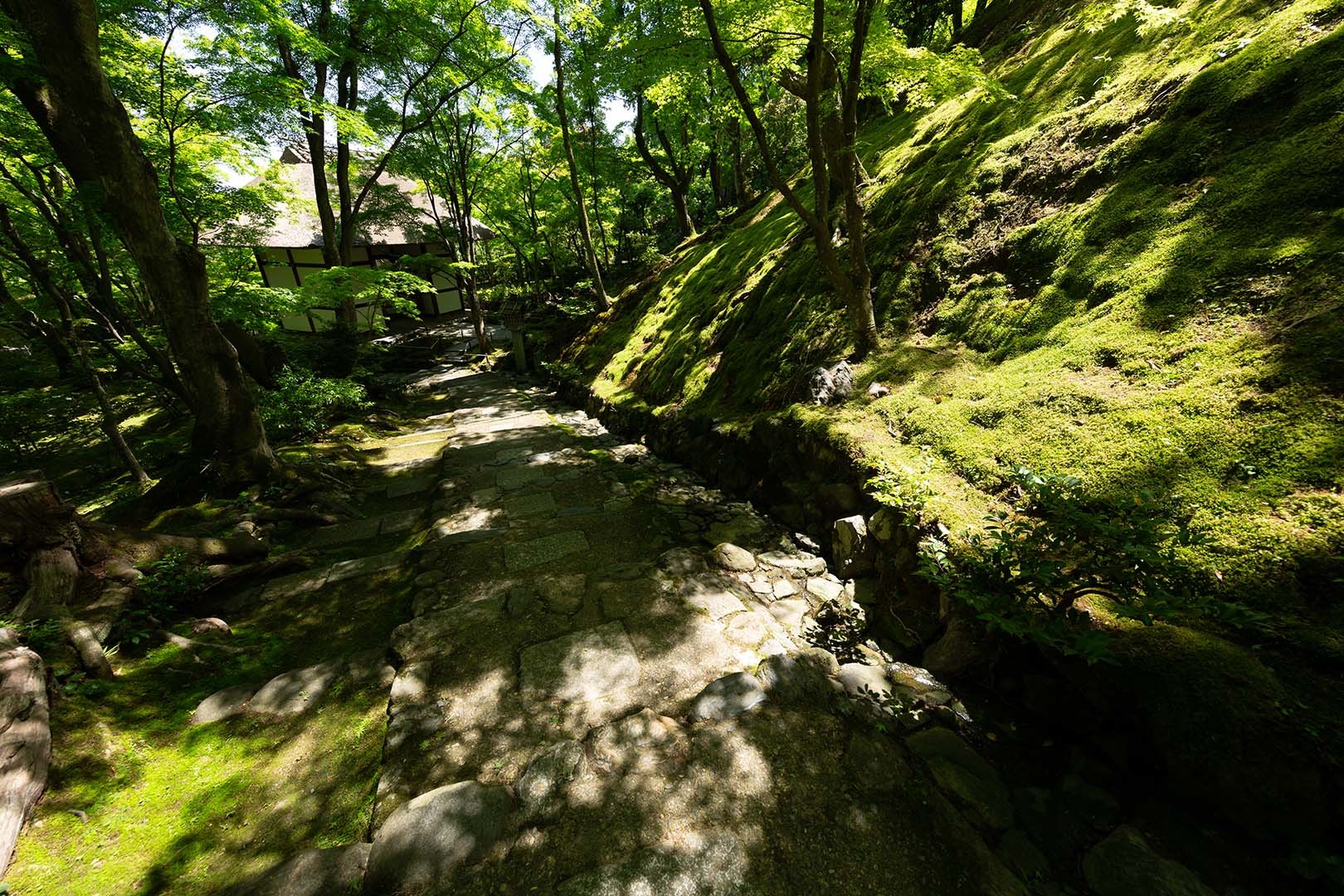 常寂光寺 その１_a0003166_10182928.jpg