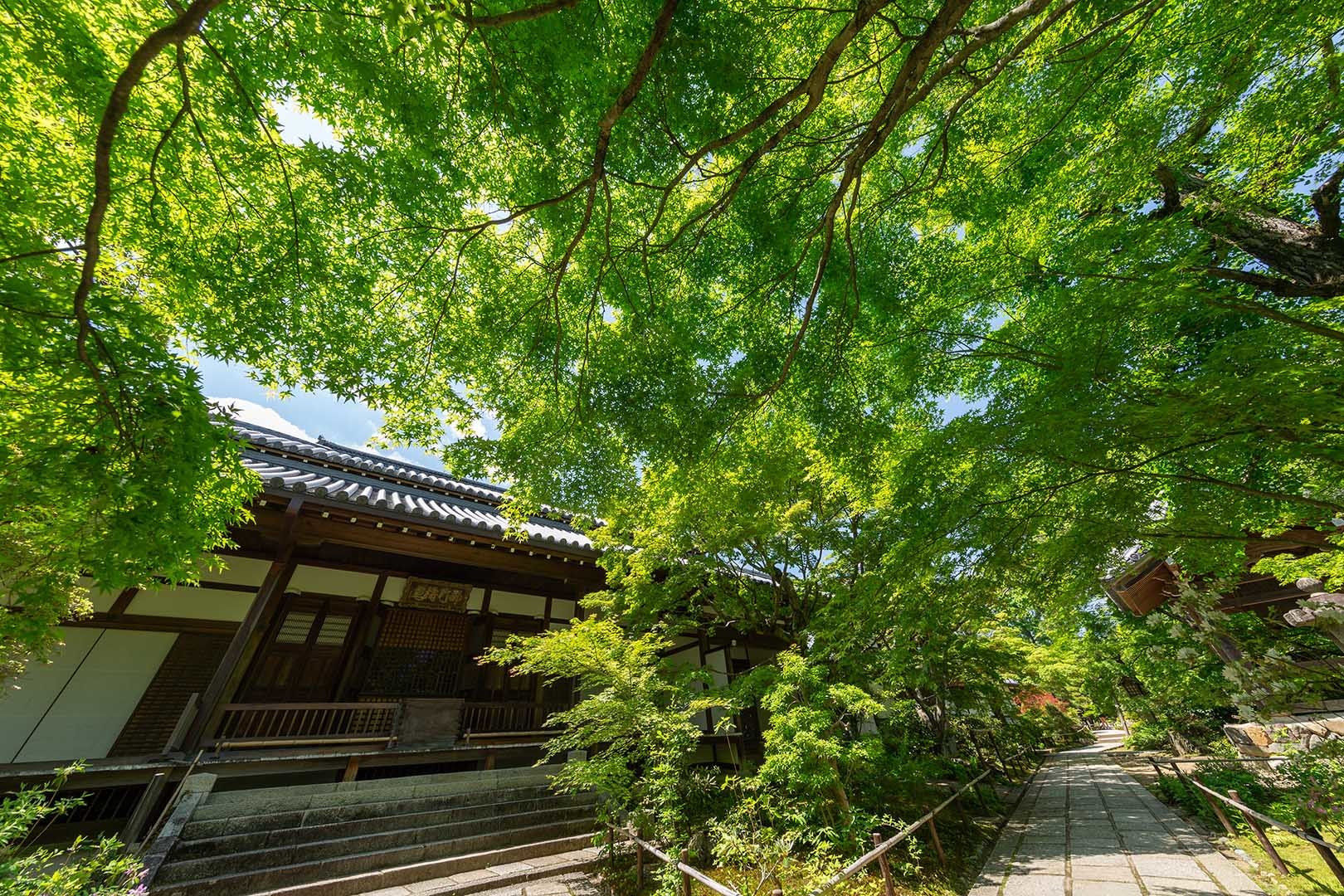 常寂光寺 その１_a0003166_10183374.jpg