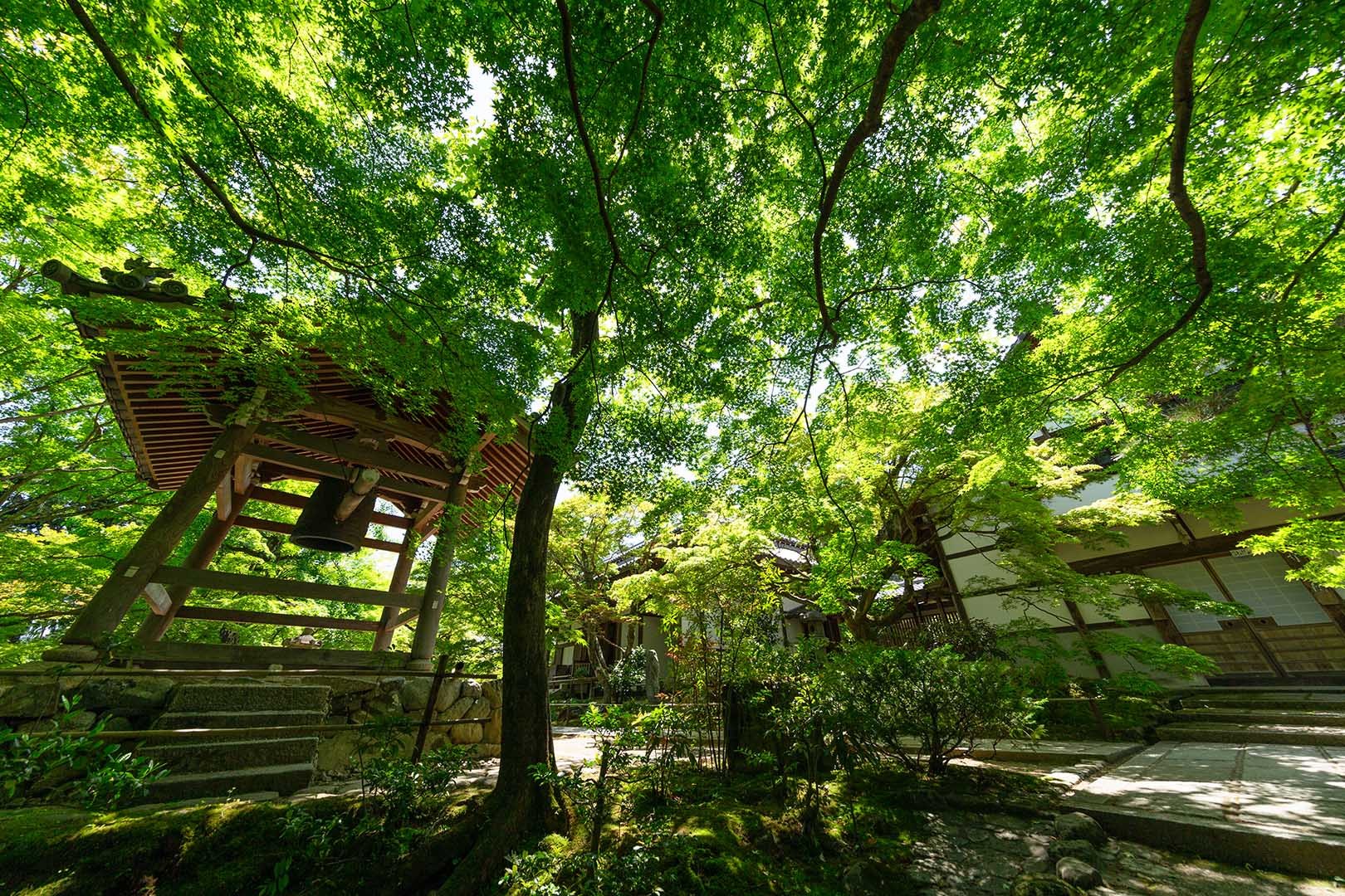常寂光寺 その１_a0003166_10184090.jpg