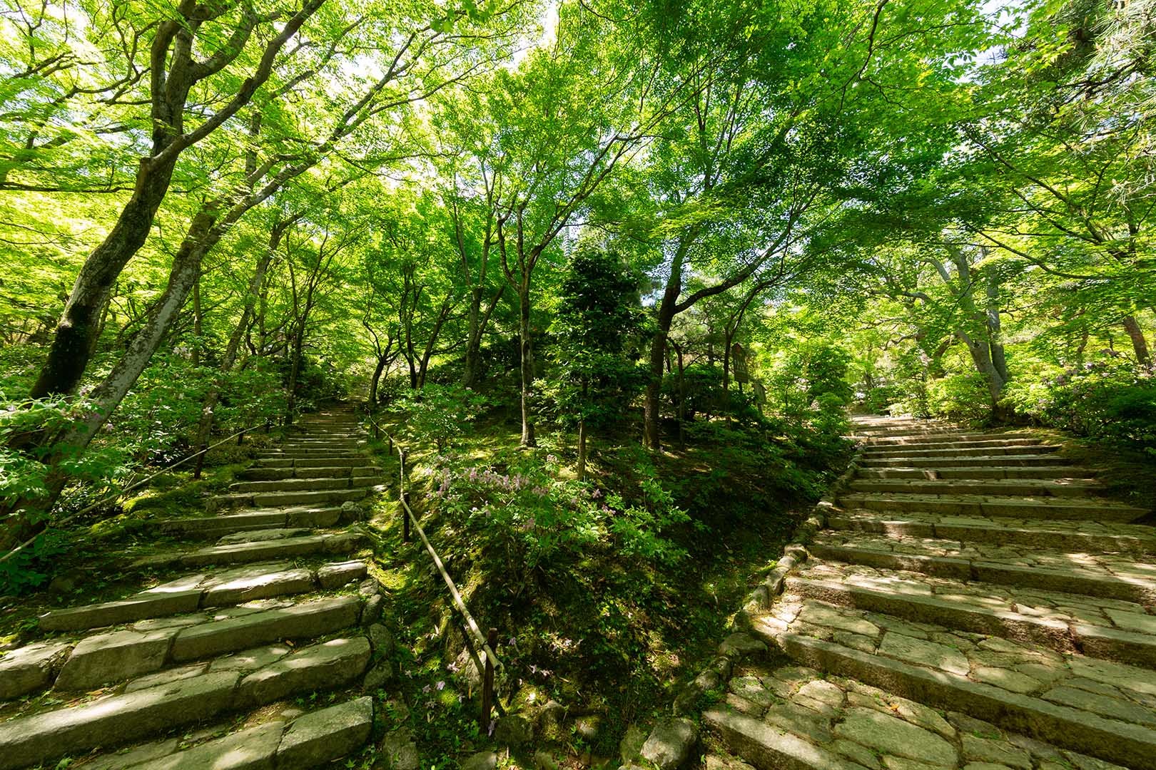 常寂光寺 その１_a0003166_10184622.jpg