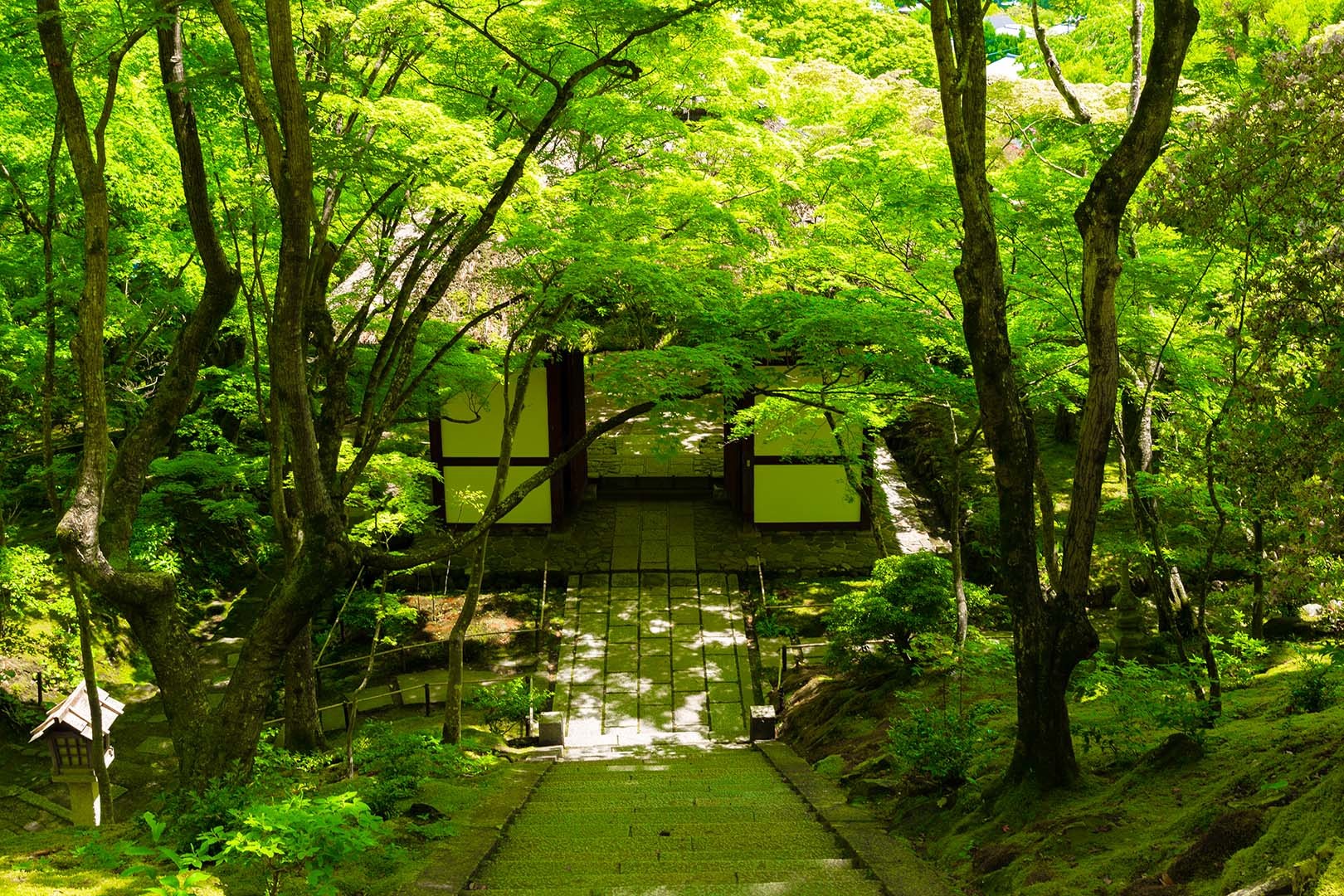 常寂光寺 新緑 その１_a0003166_10193645.jpg
