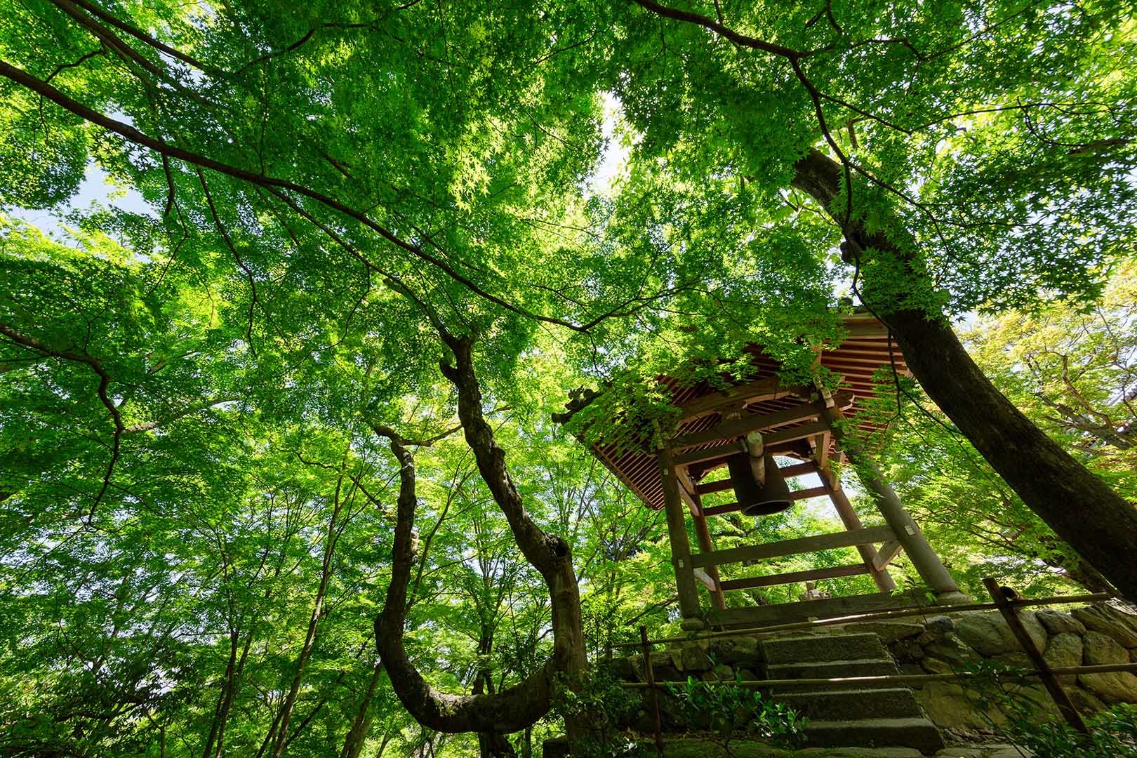 常寂光寺 その２_a0003166_10193704.jpg