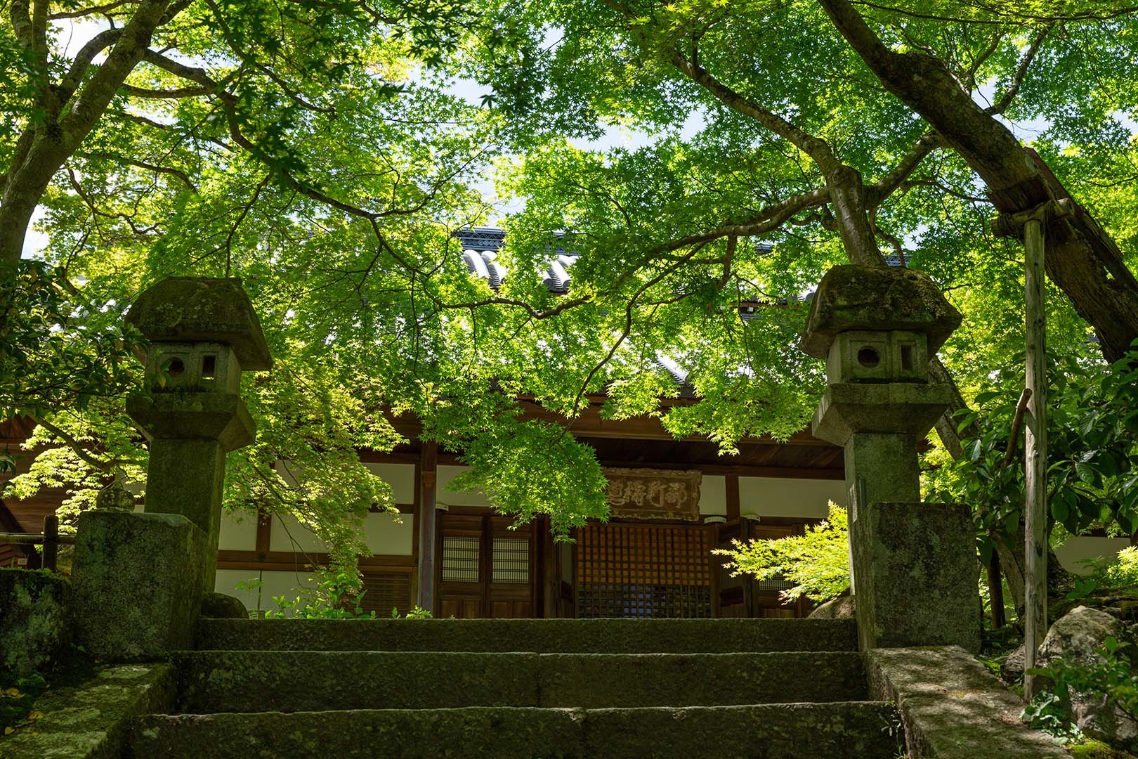 常寂光寺 その２_a0003166_10193736.jpg