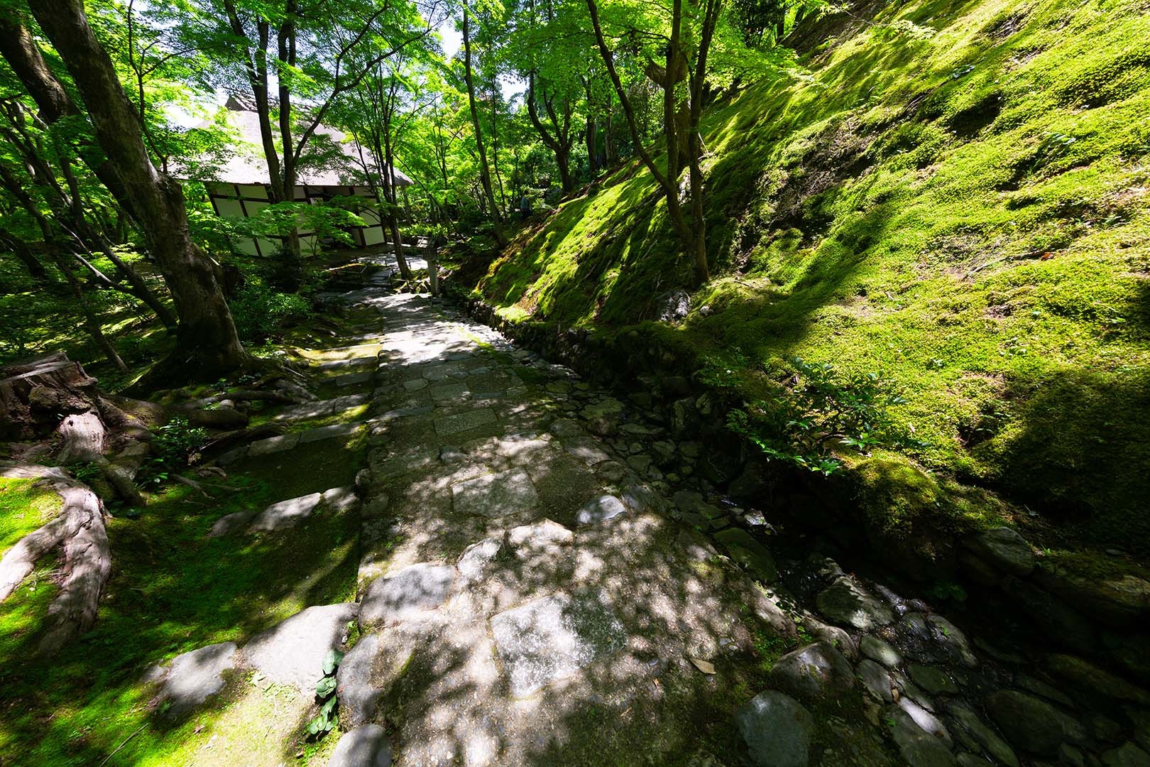 常寂光寺 その２_a0003166_10193749.jpg