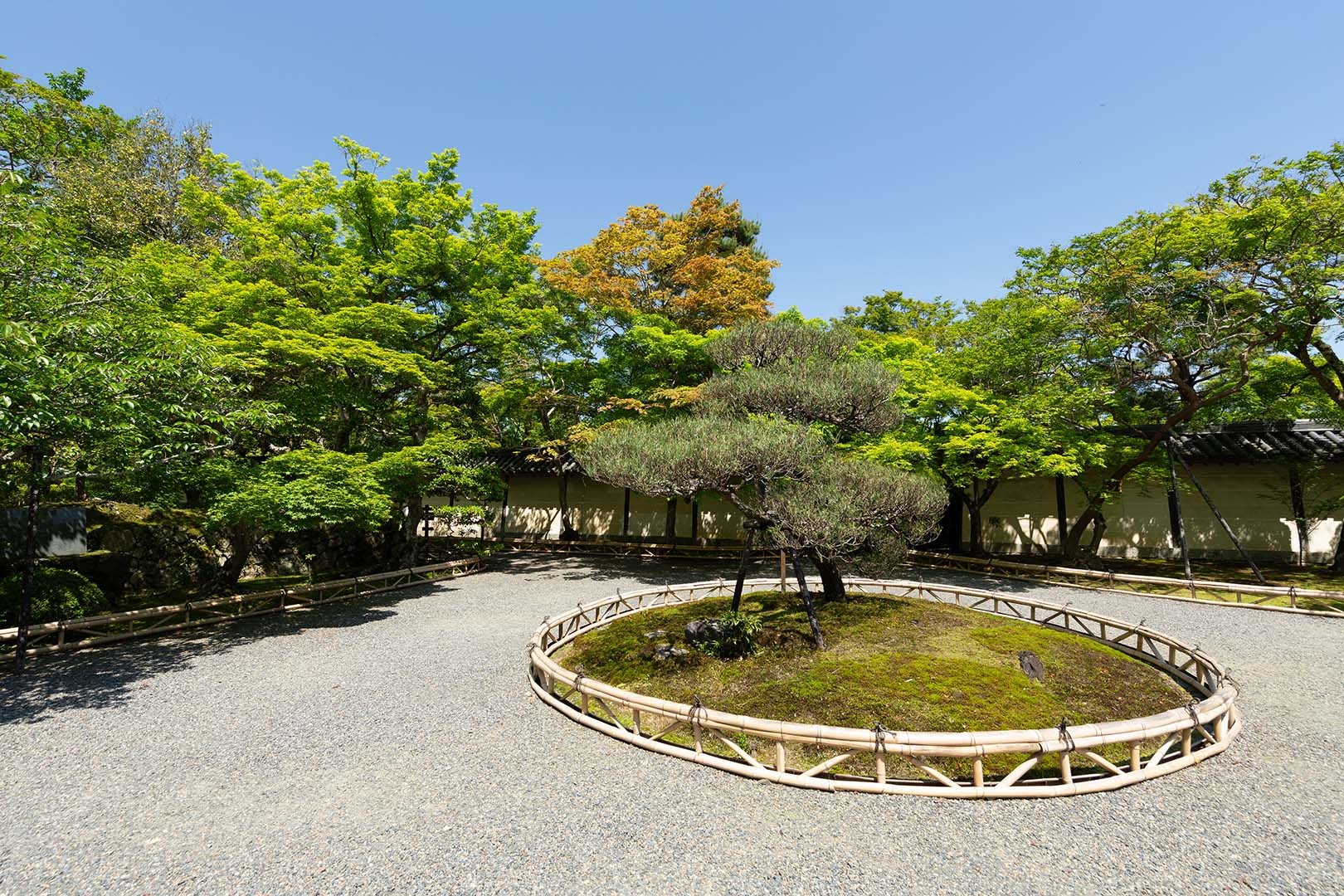 二尊院_a0003166_10205824.jpg