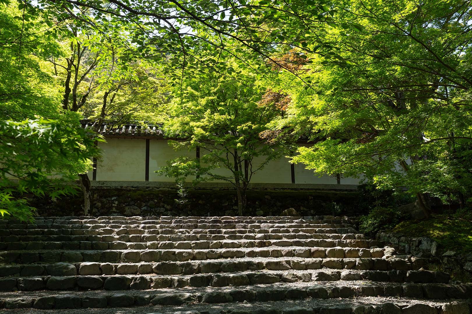 二尊院_a0003166_10205988.jpg