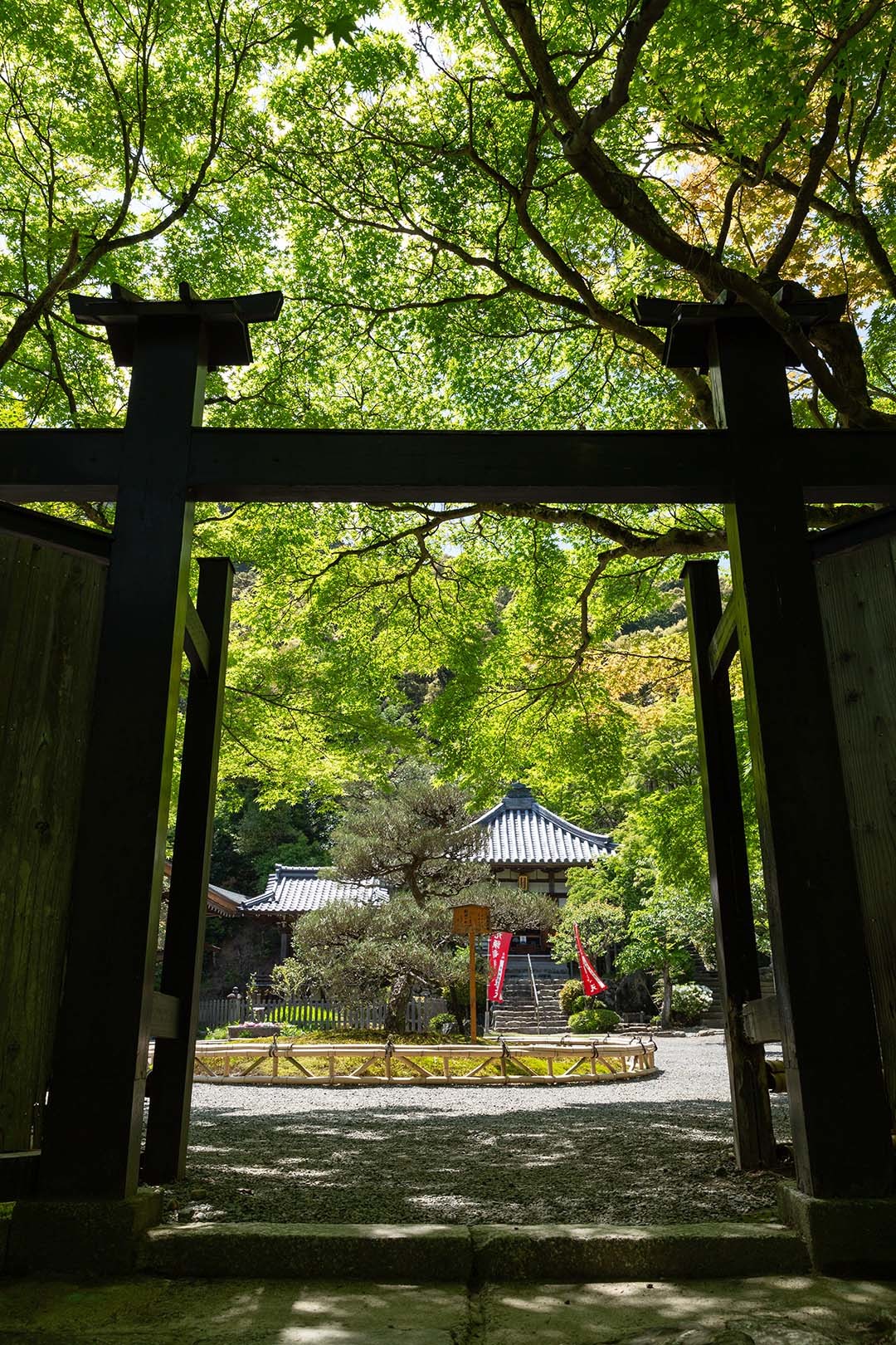 二尊院_a0003166_10210010.jpg