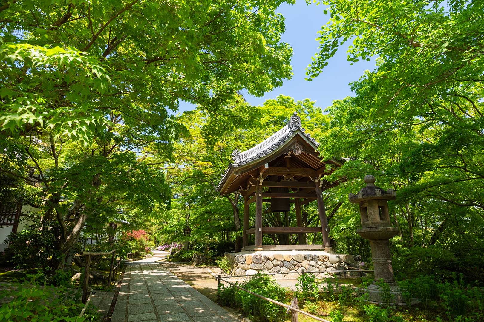 常寂光寺 新緑 その２_a0003166_10210695.jpg