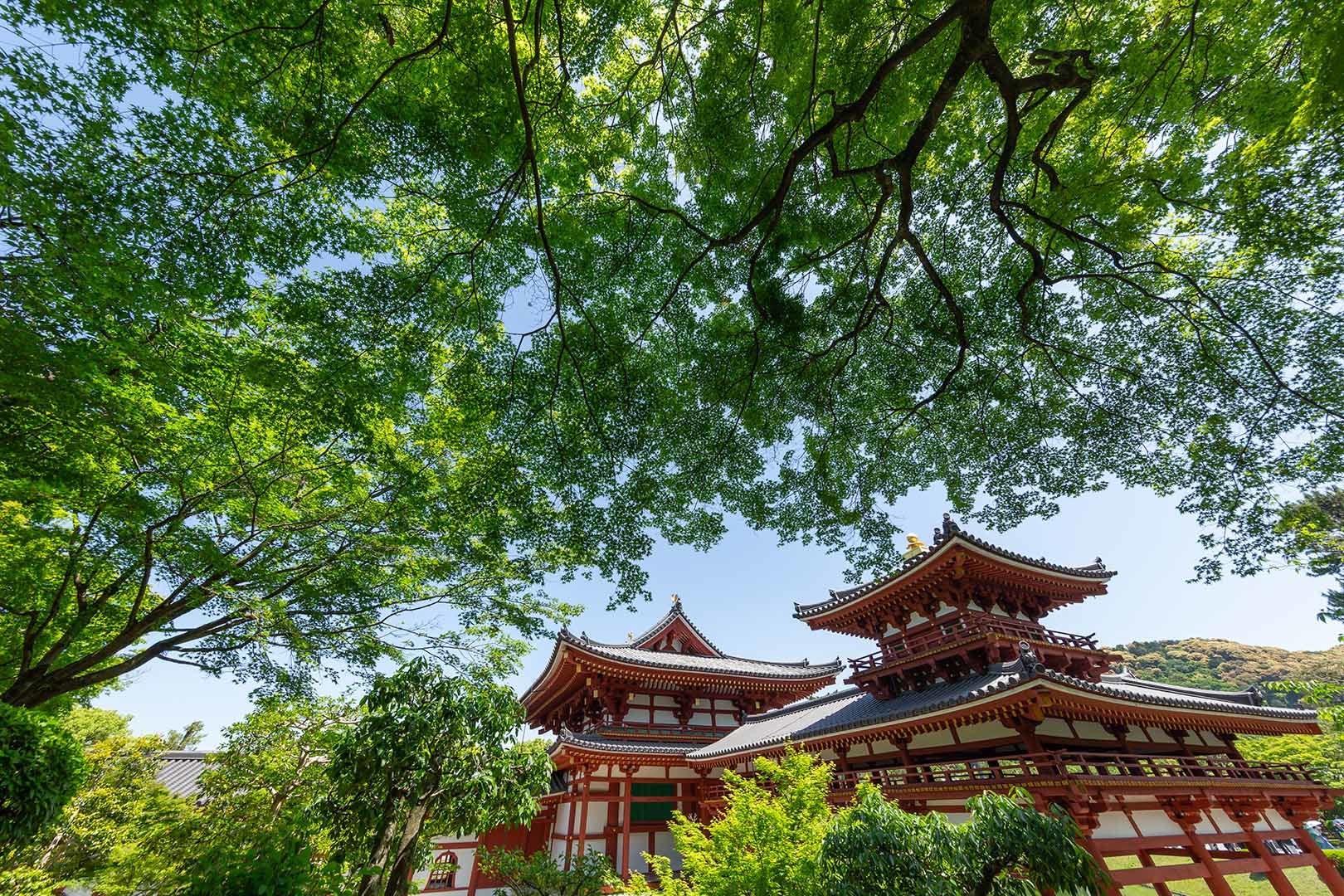 平等院_a0003166_10235715.jpg