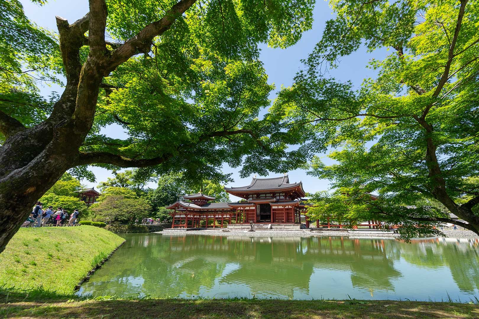 平等院_a0003166_10235796.jpg
