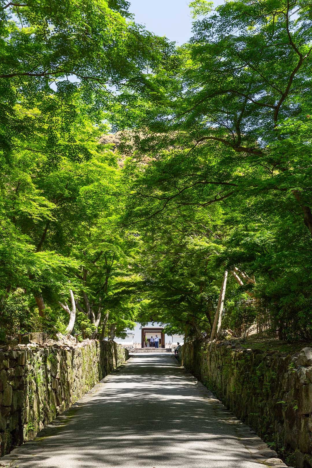 興聖寺_a0003166_10243976.jpg