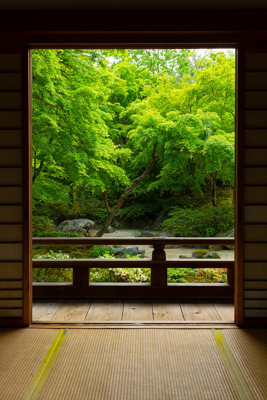 宝筐院 新緑_a0003166_10244575.jpg