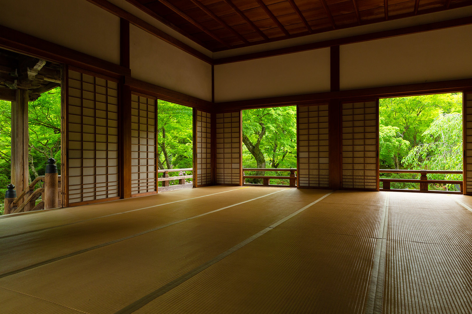 宝筐院 新緑_a0003166_10244890.jpg