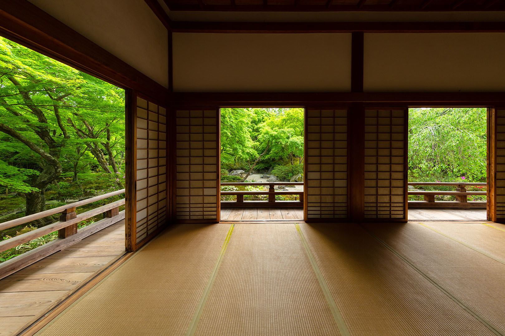 宝筐院 新緑_a0003166_10245064.jpg