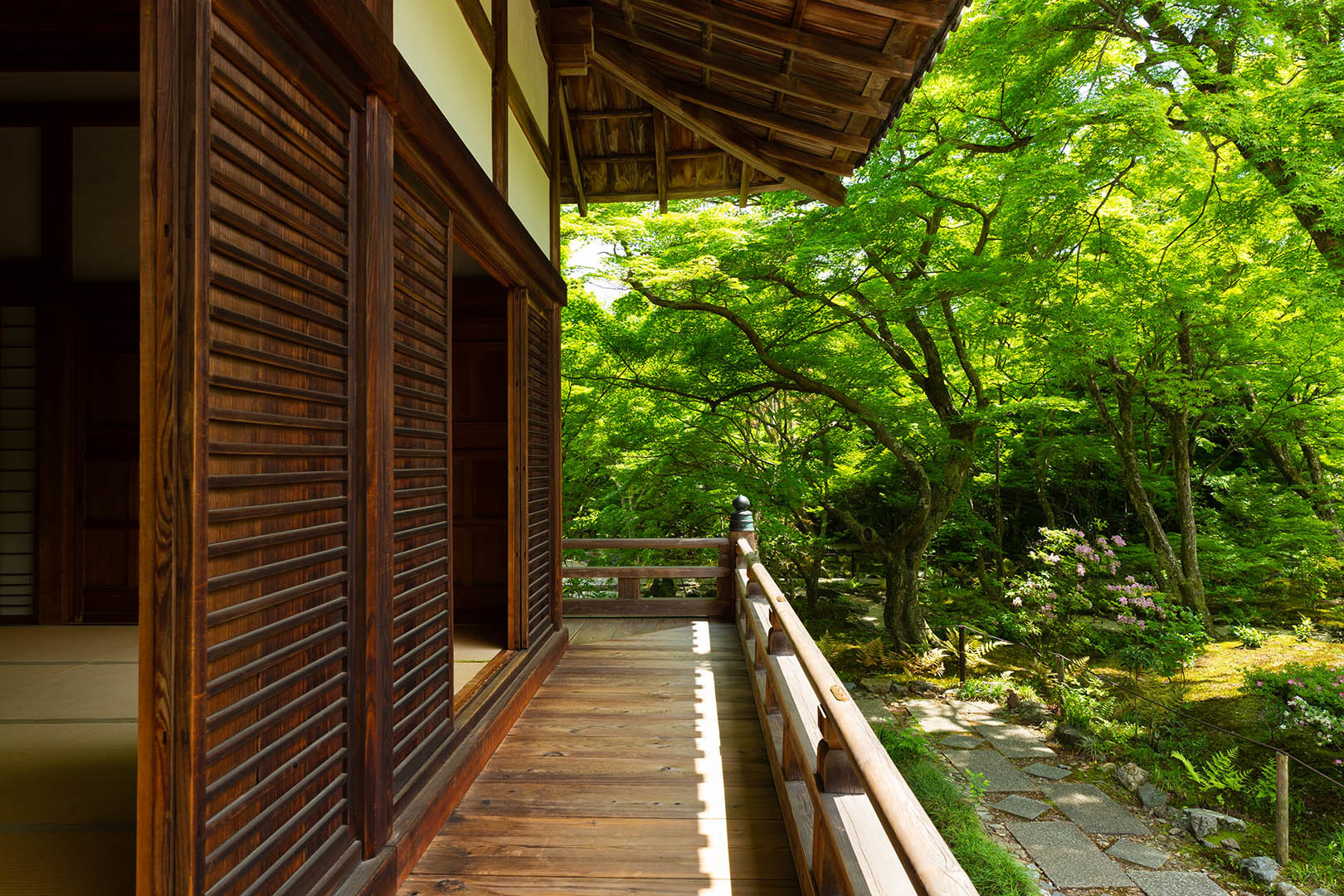 宝筐院 新緑_a0003166_10245331.jpg