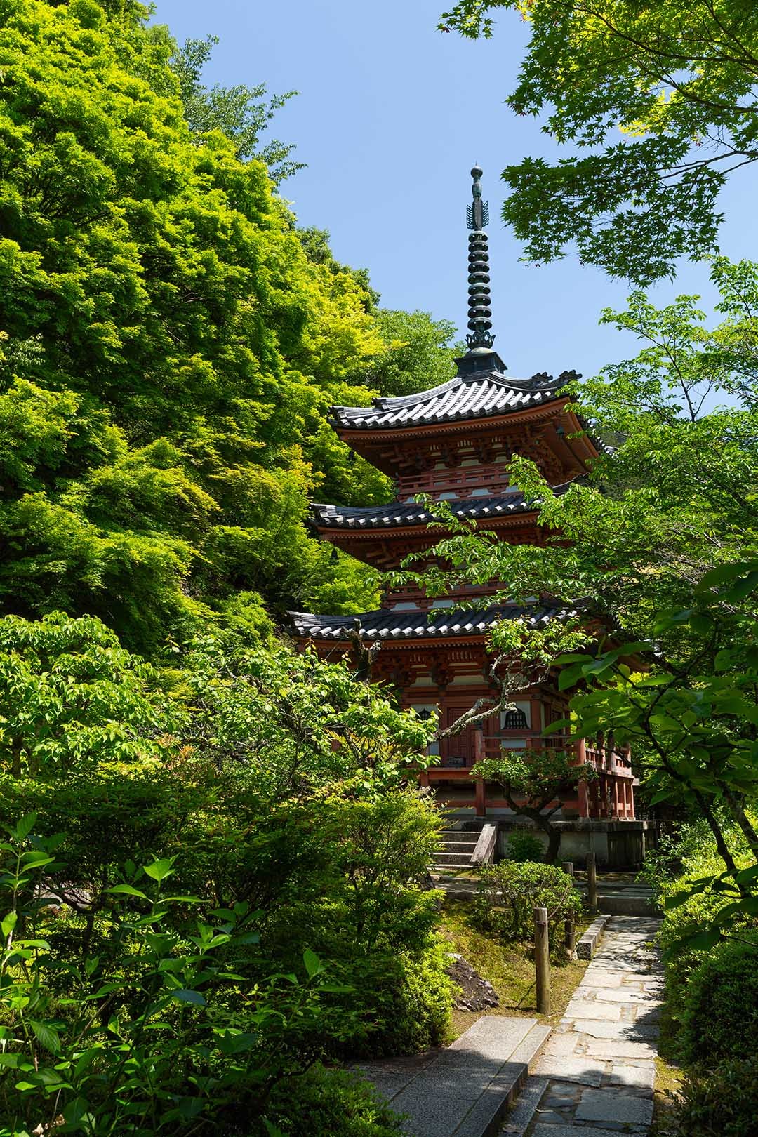 三室戸寺_a0003166_10252975.jpg