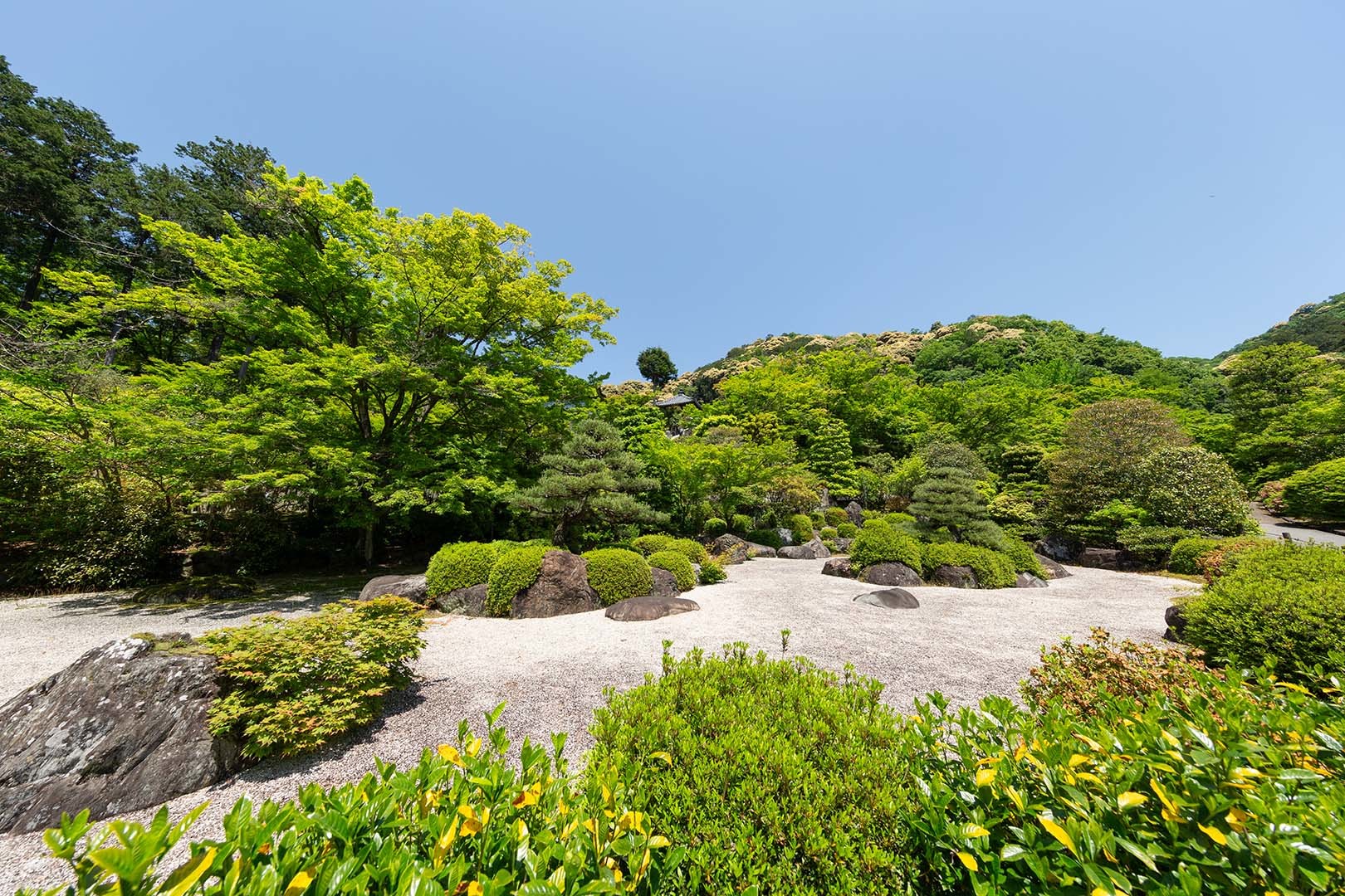 三室戸寺_a0003166_10252997.jpg